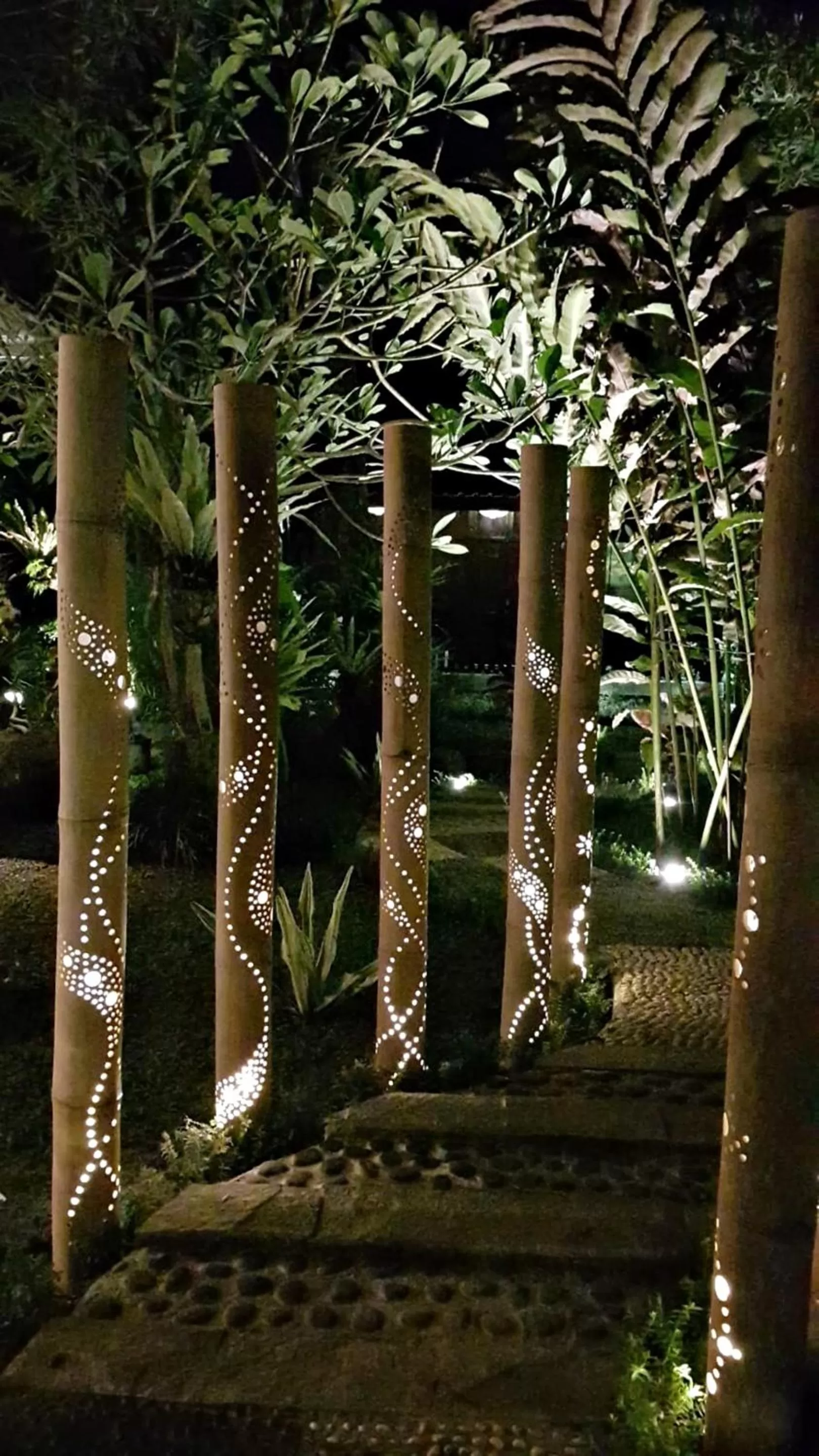 Night in Canvas Escape Resort