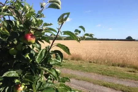 Natural Landscape in Church Farm B&B Suffolk