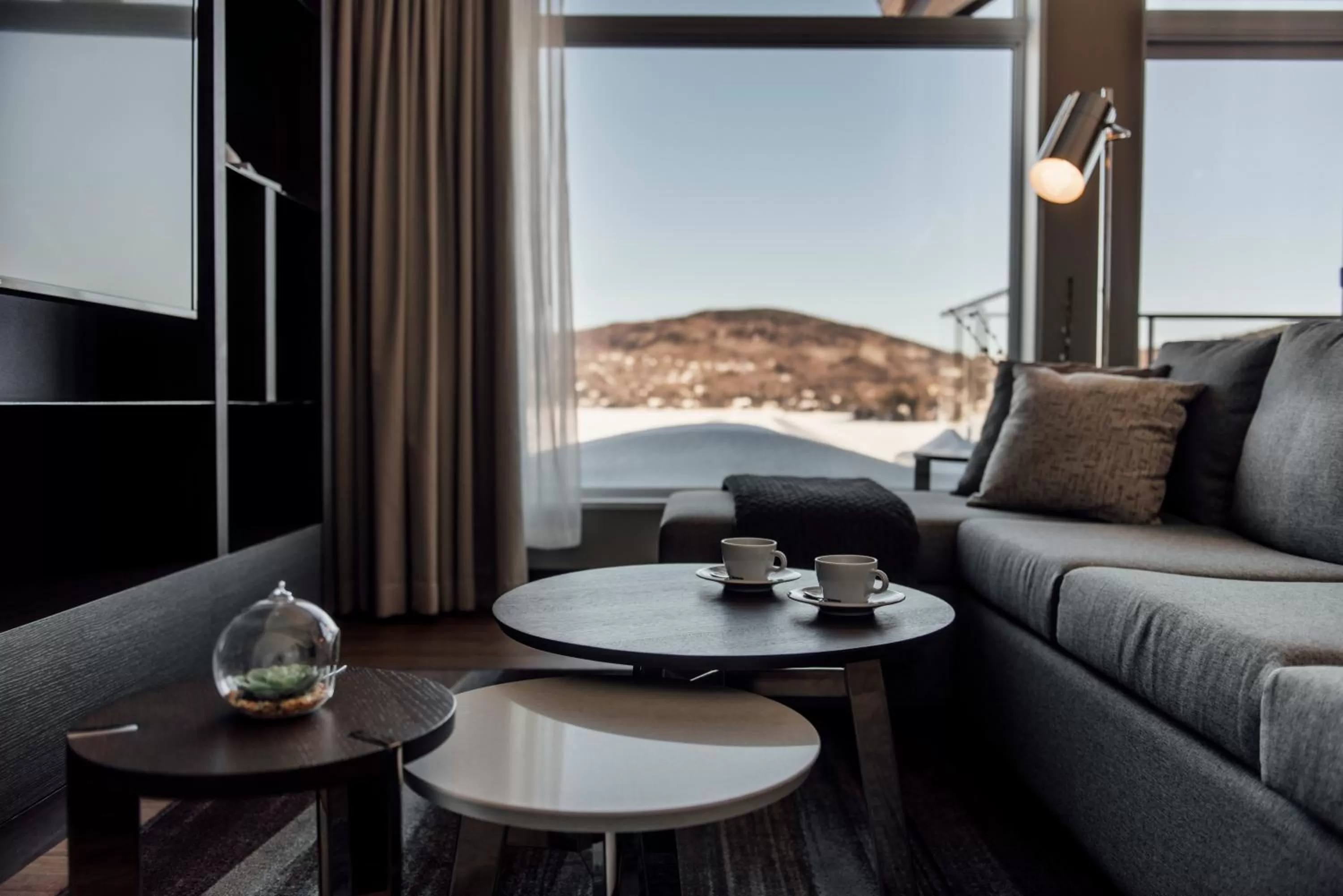 Living room in Entourage sur-le-Lac