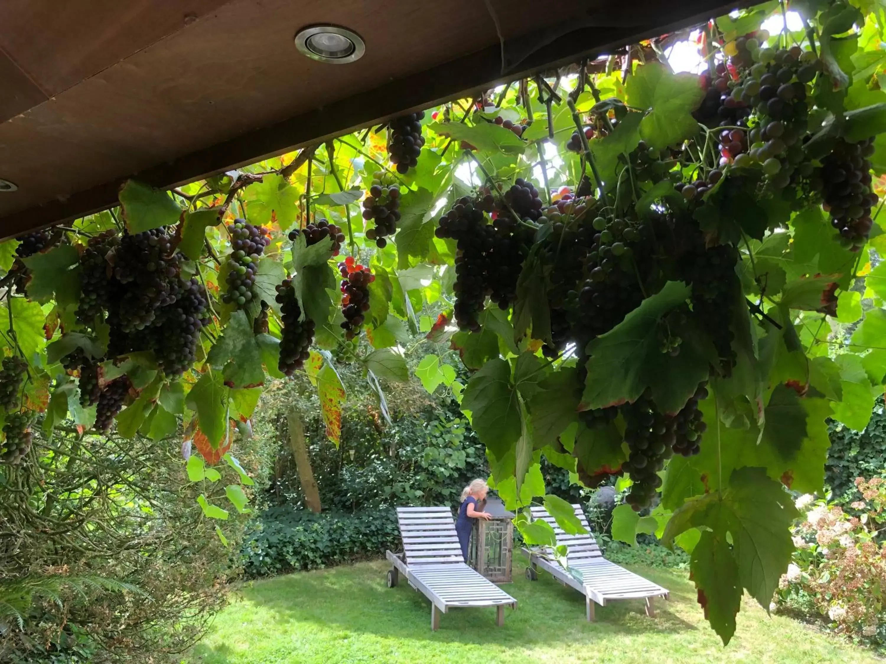 Beaux Temps b&b Beaux Temps b&b