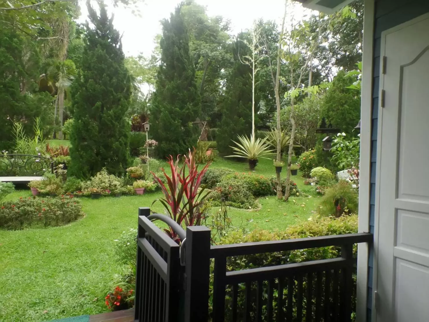 Garden in Baan JaoKorKluay บ้านเจ้ากอกล้วย