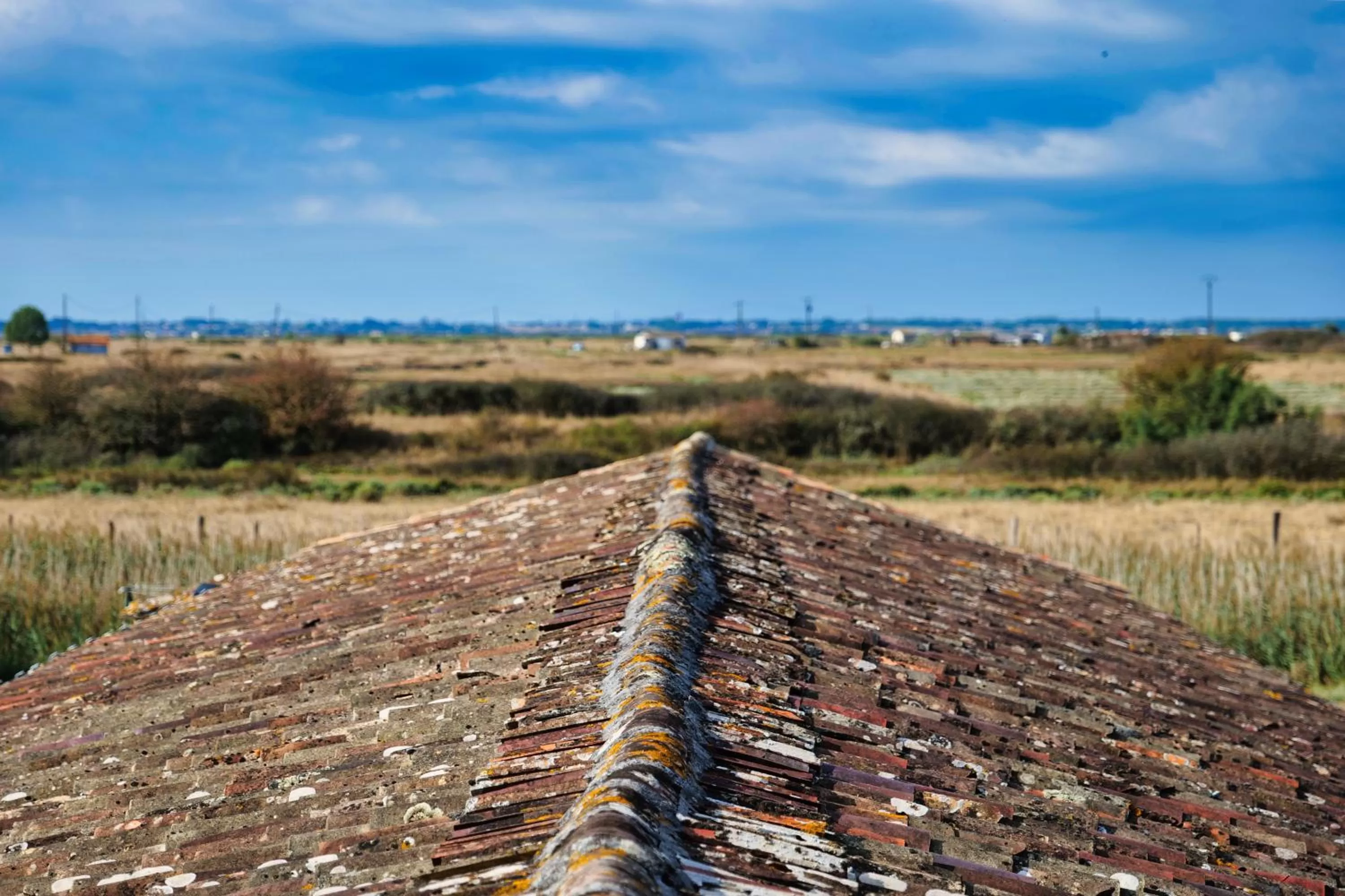 Natural landscape in MOULIN DE MAUZAC