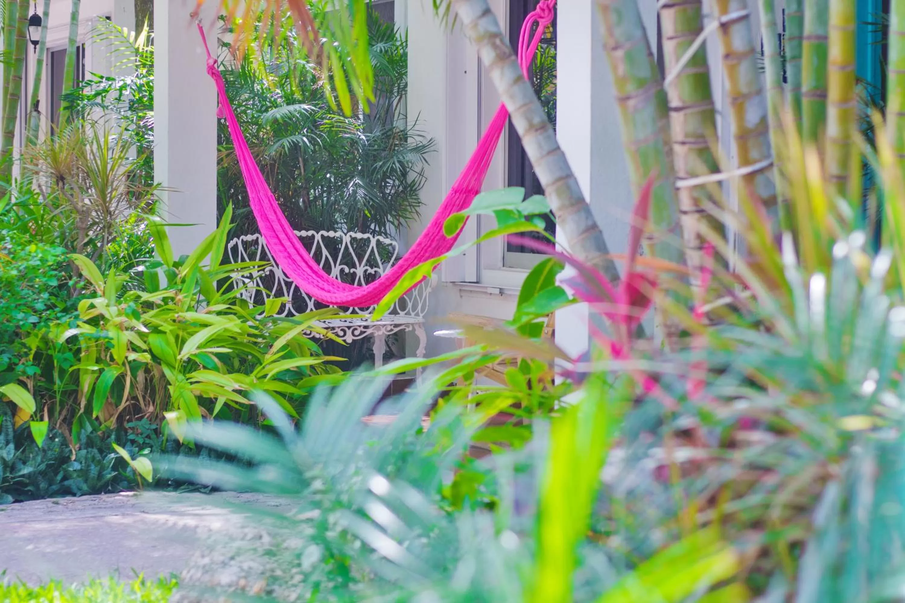 Garden in Hotel Villas Colibrí Suites & Bungalows