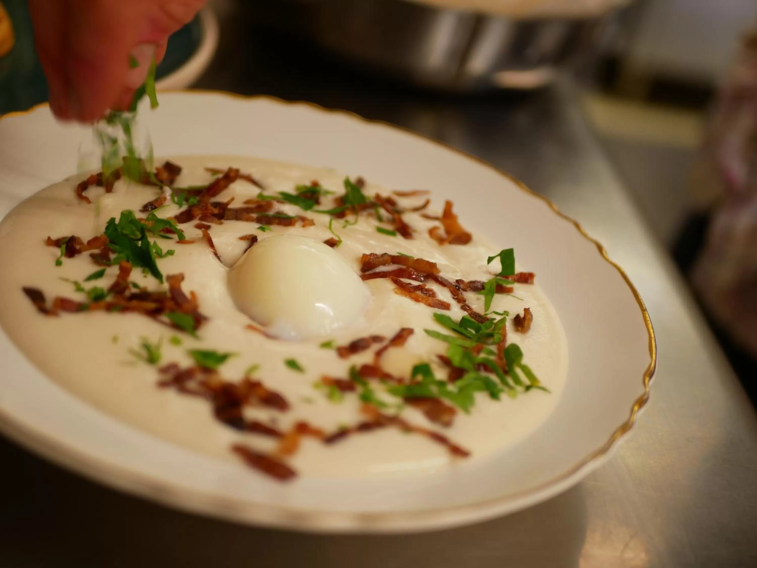 Restaurant/places to eat in Hotel Bistrot FINE