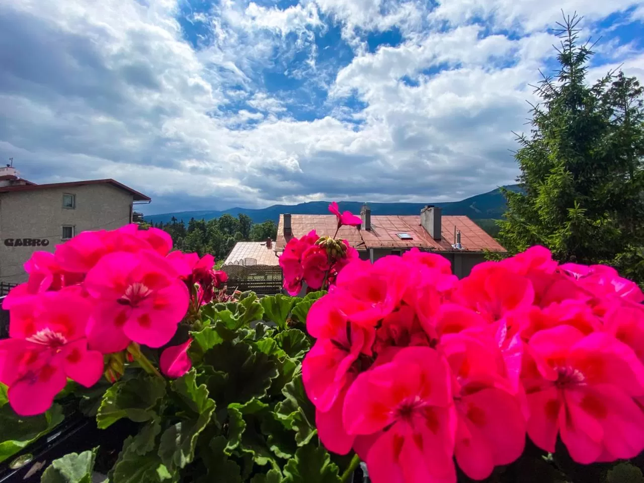 Neighbourhood in Willa Sonata - Apartamenty & Balia - Szklarska Poręba