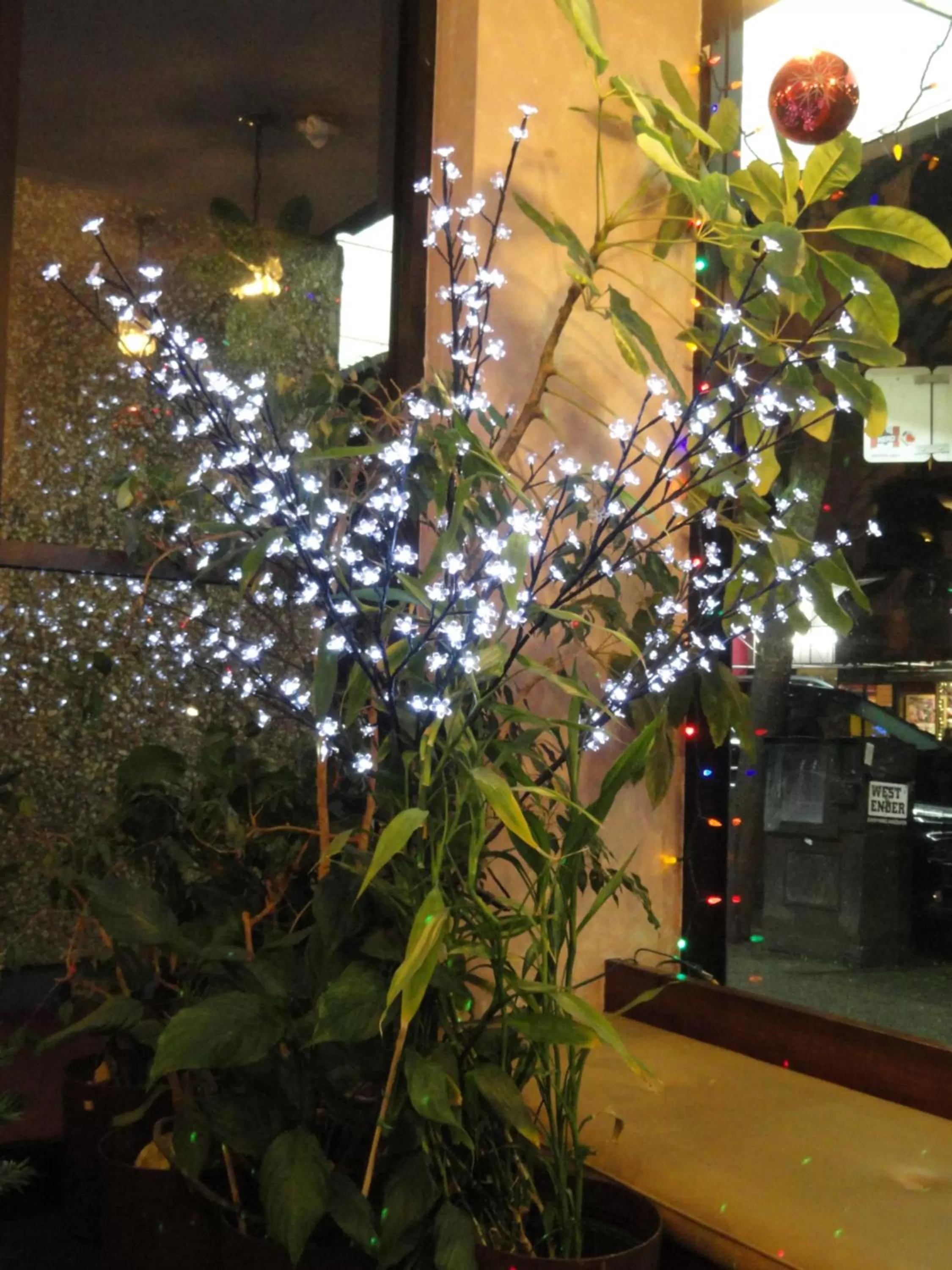 Lobby or reception in English Bay Hotel