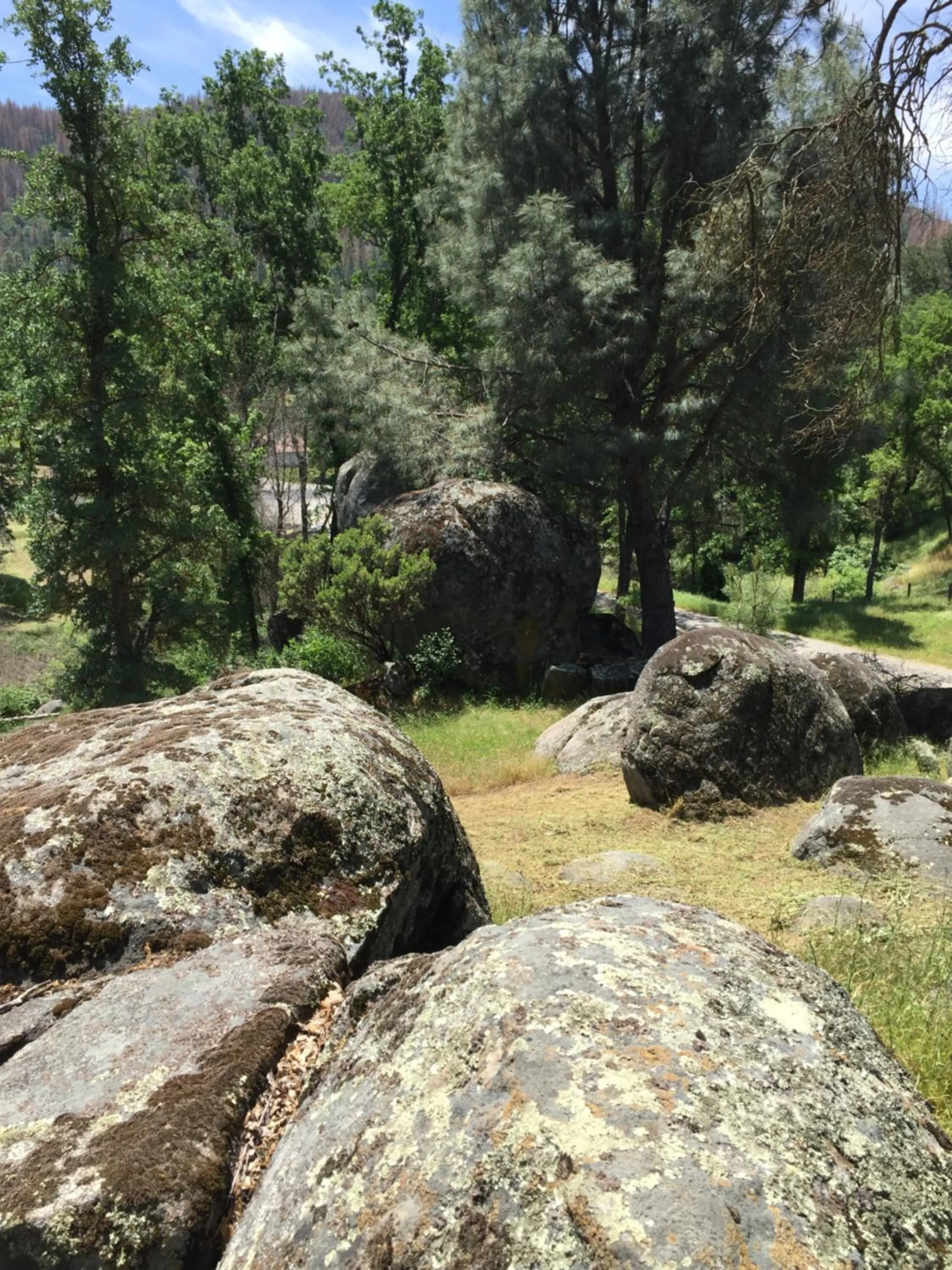 Day in Mountain Trail Lodge and Vacation Rentals