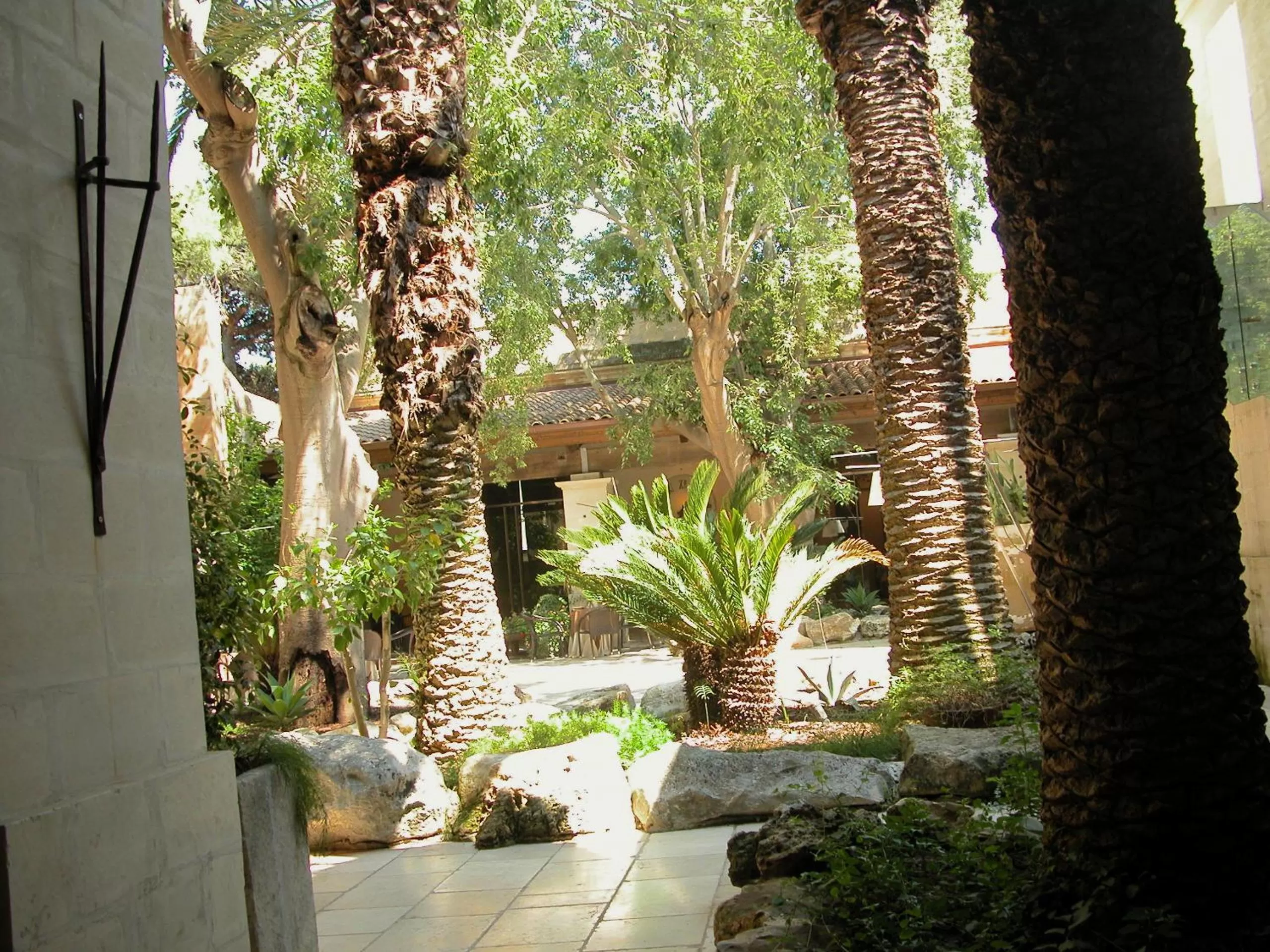 Garden in Torre Del Parco