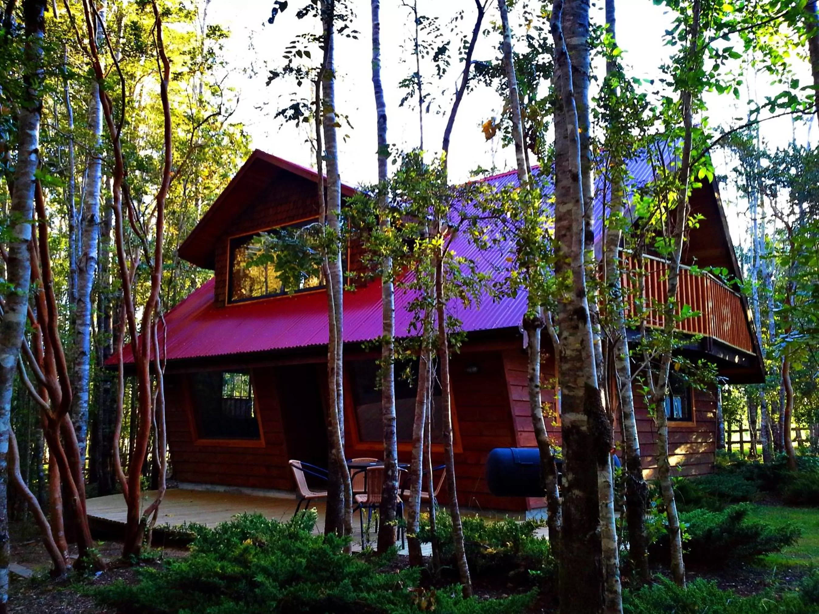 Decorative detail, Property Building in Hotel Salto del Carileufu