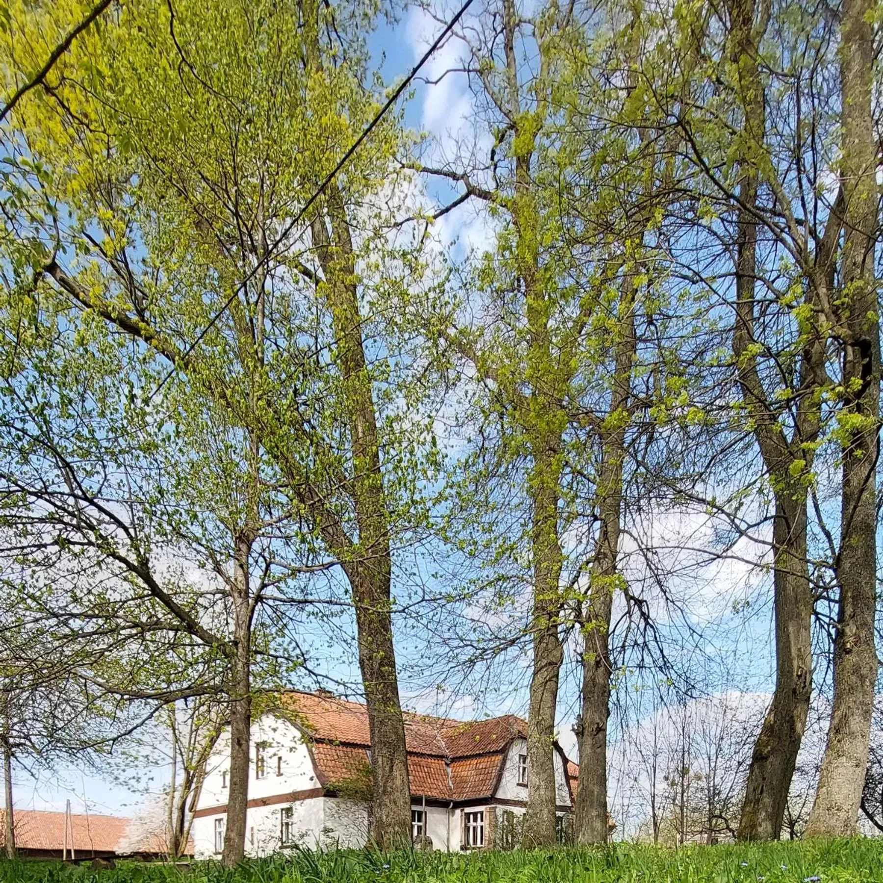 Property building in Dom na Mazurach Pilec