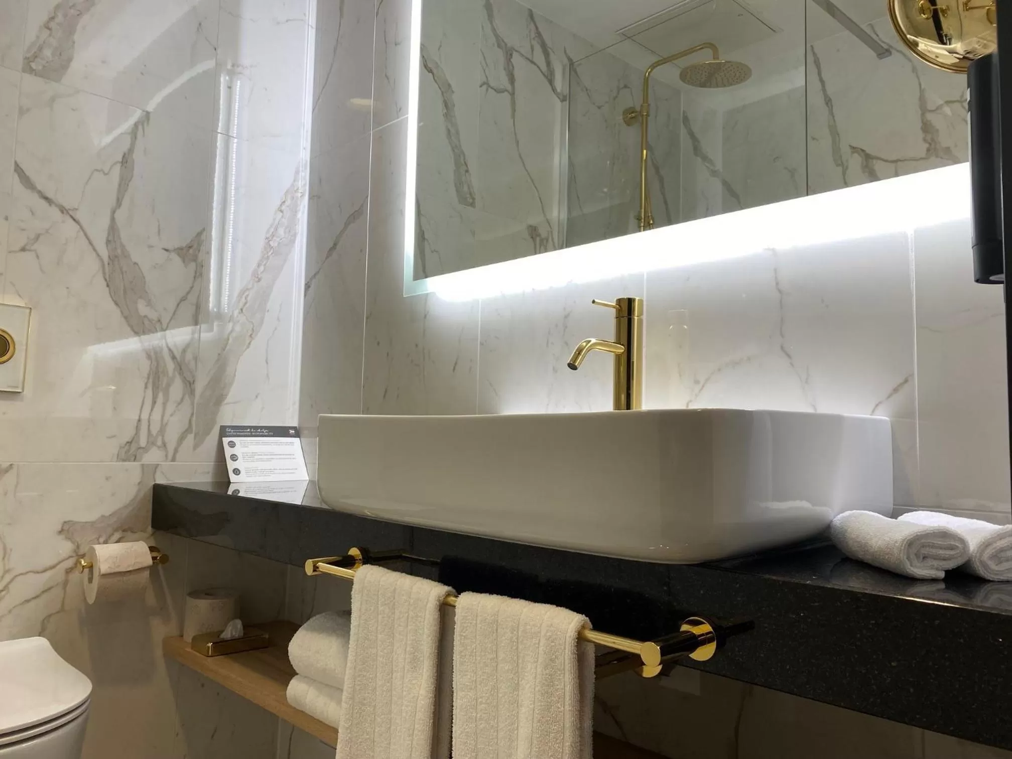 Bathroom in Elegans Hotel Brdo