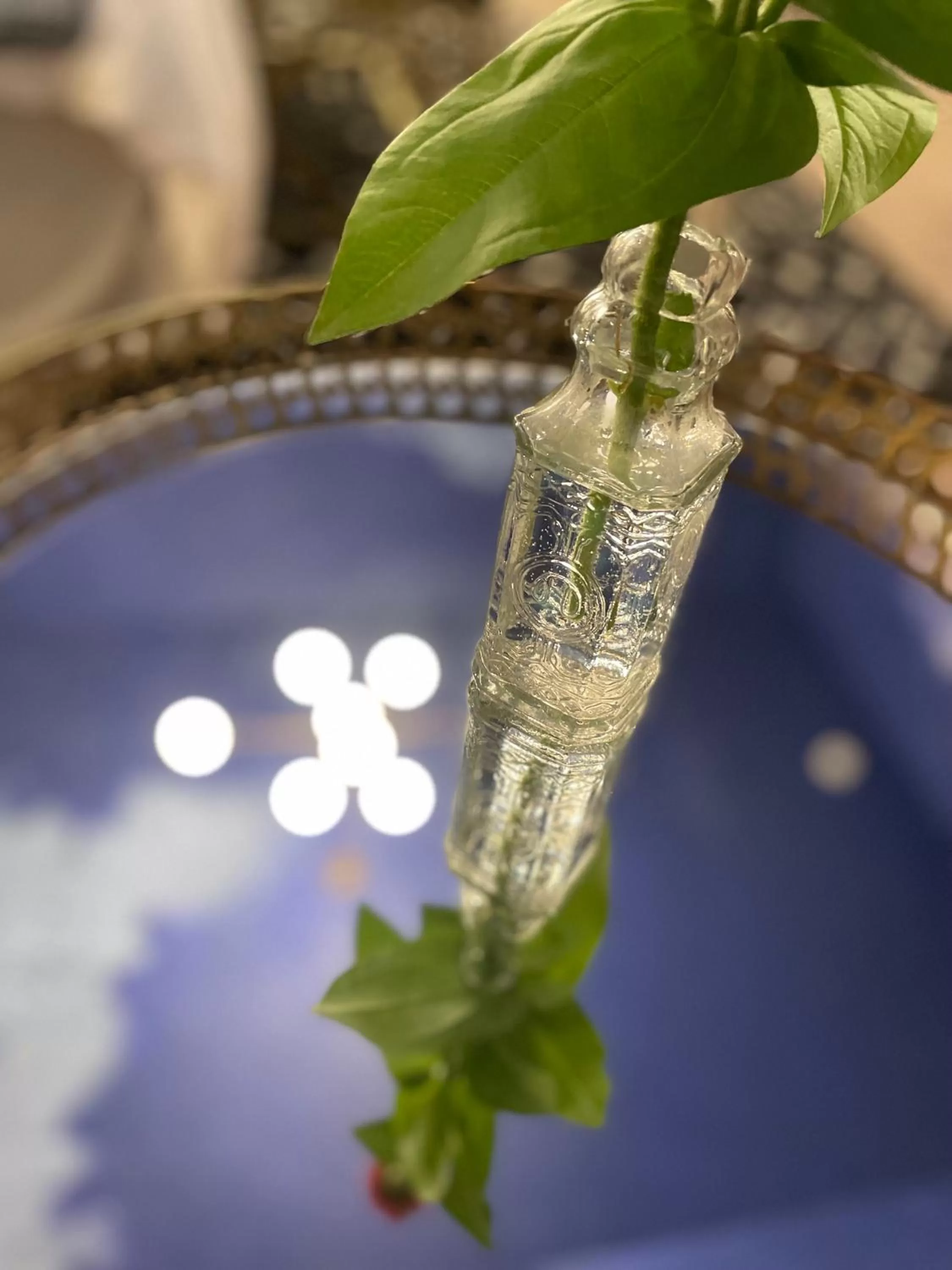 Seating area in Flora House Denver