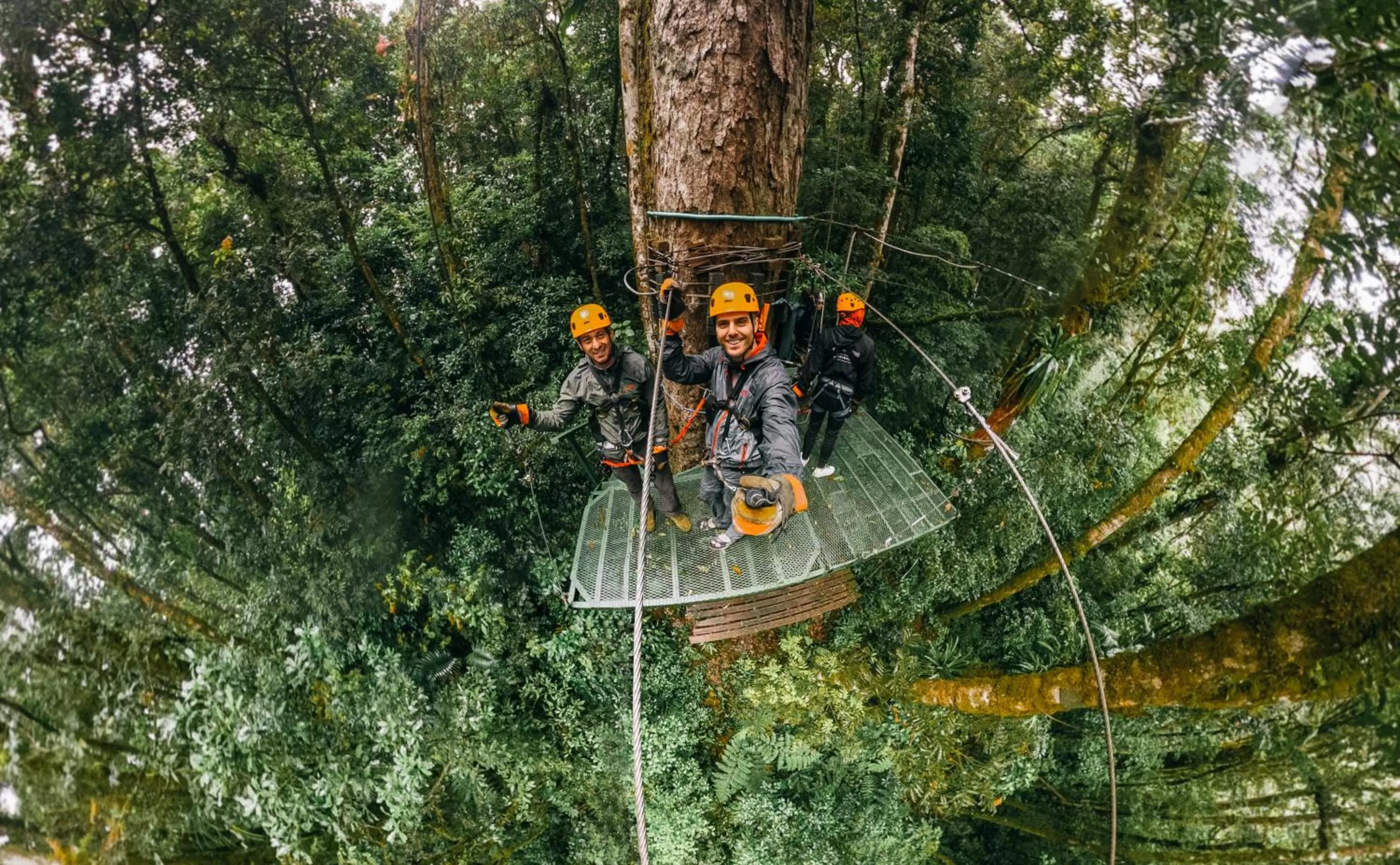 Activities in TREE TREK BOQUETE Adventure Park