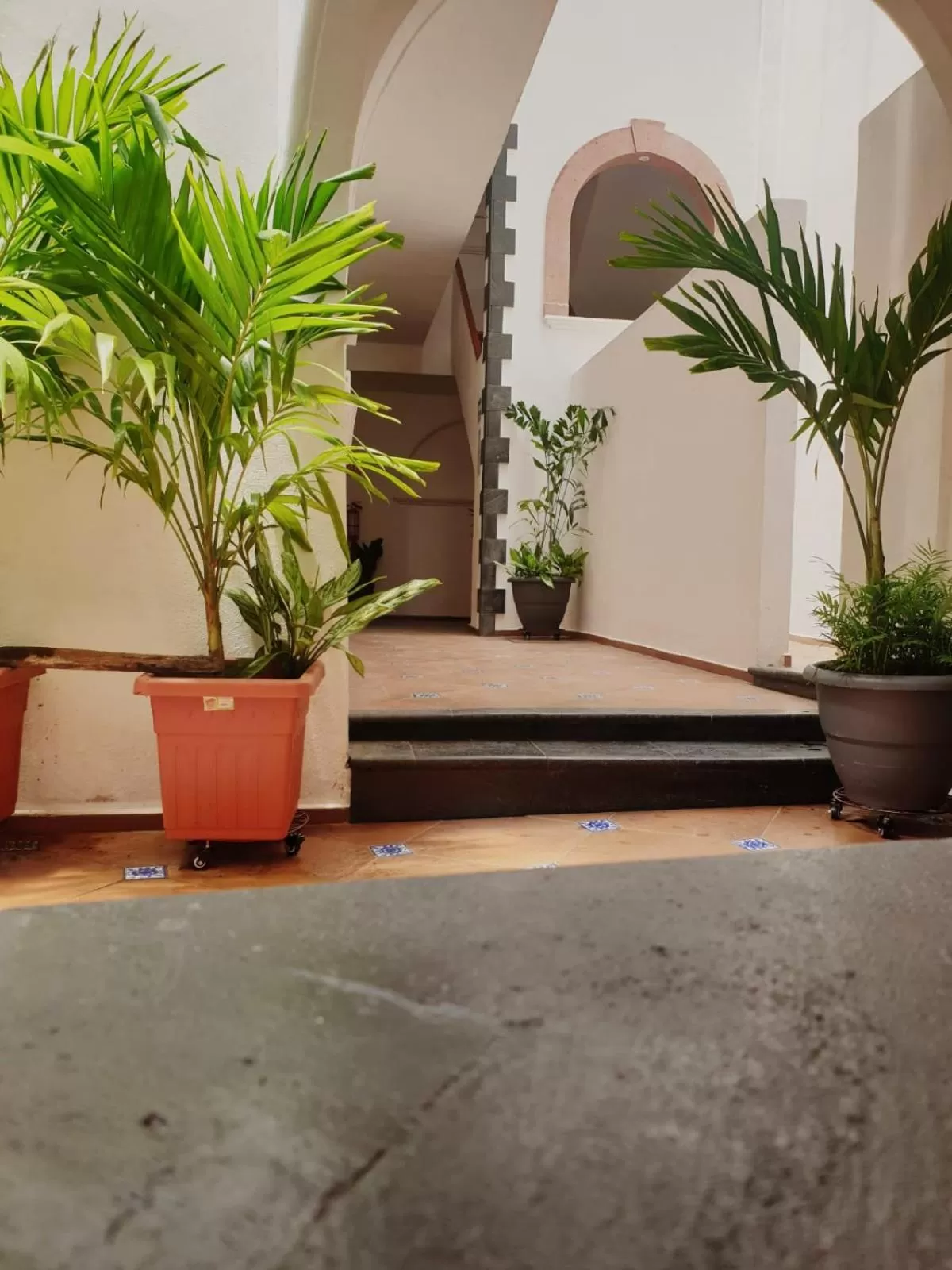 Property building in Hotel Catedral