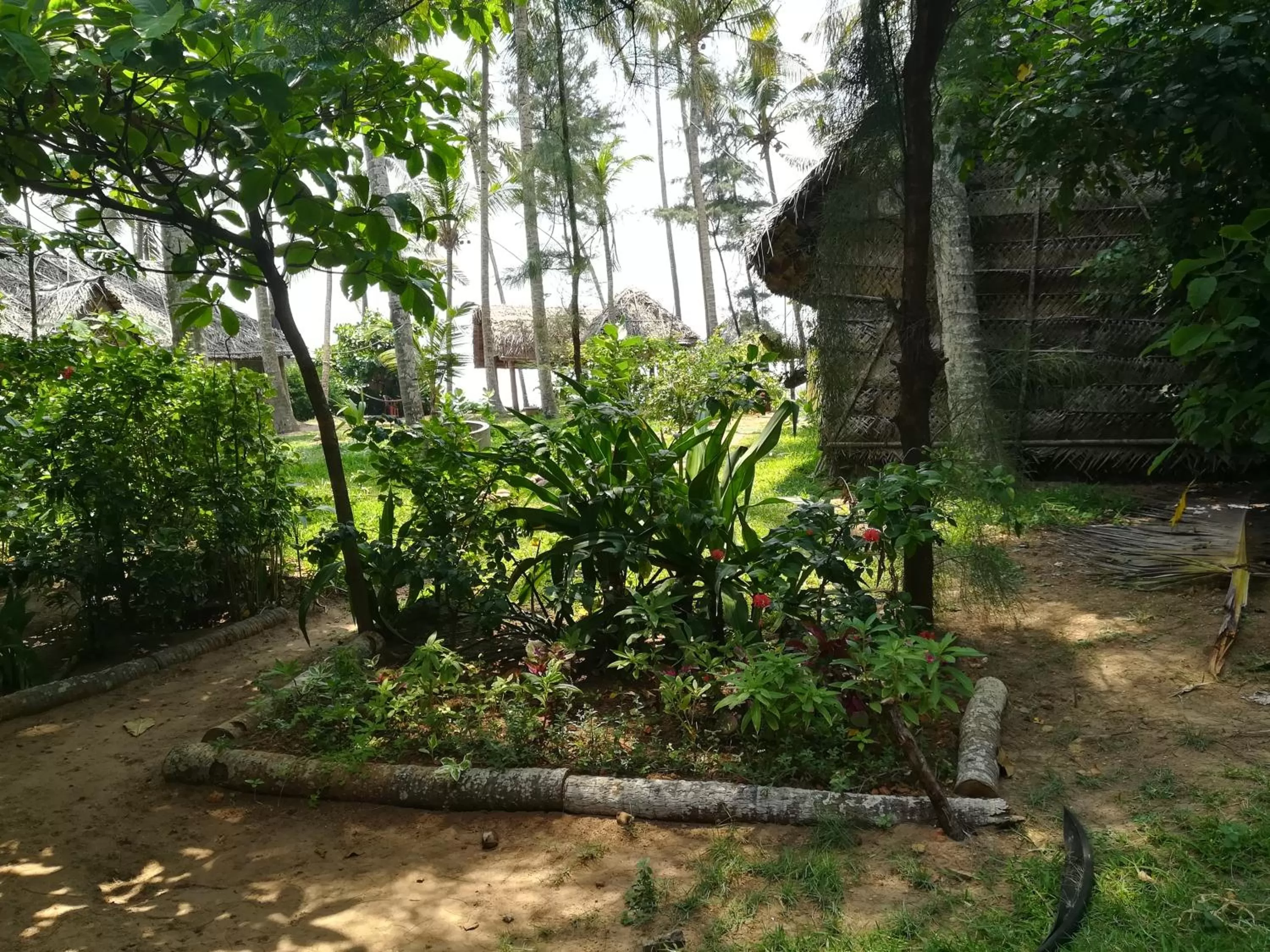 Garden view, Garden in Sukriti beach Resort