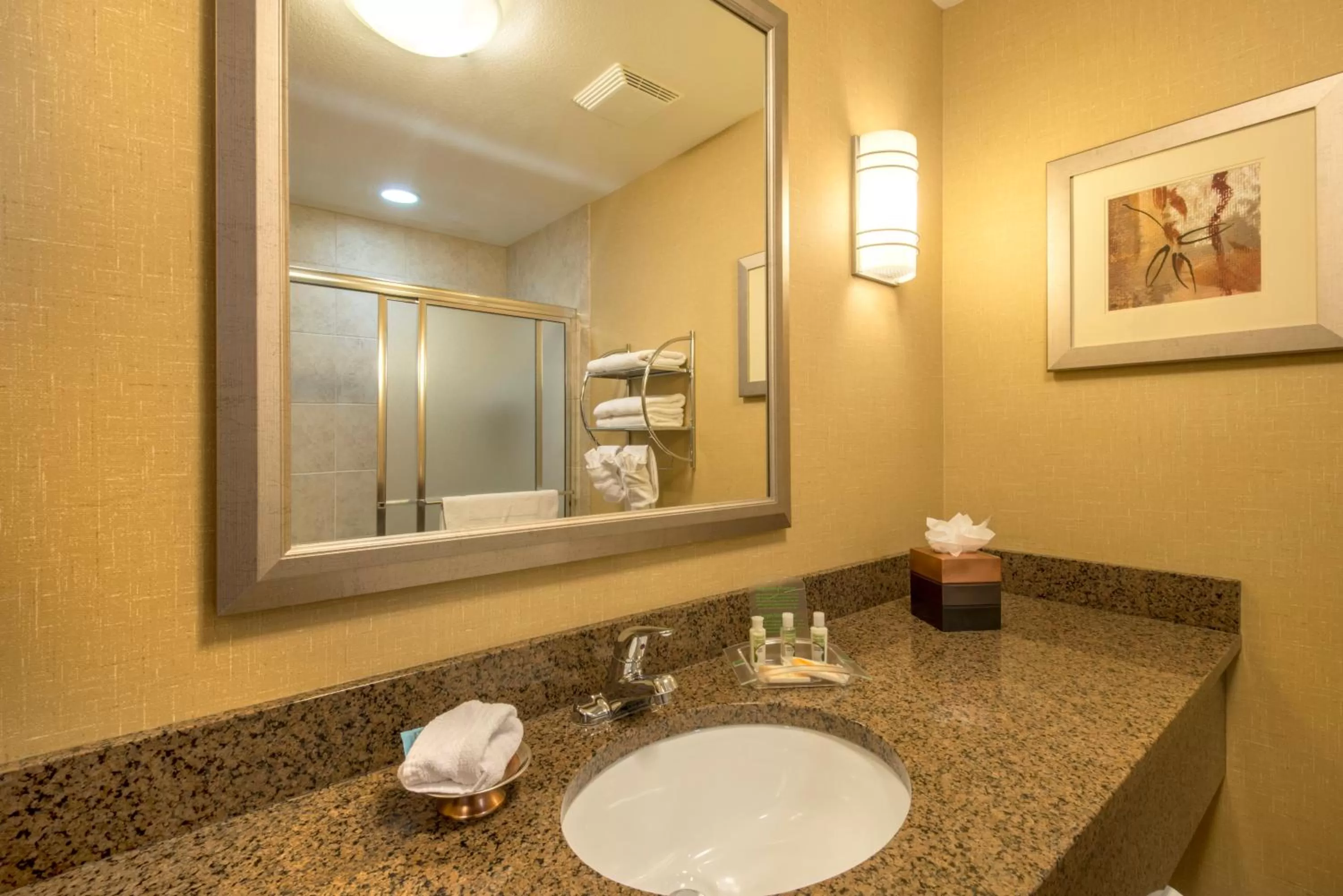 Bathroom in Holiday Inn Casper East-Medical Center by IHG