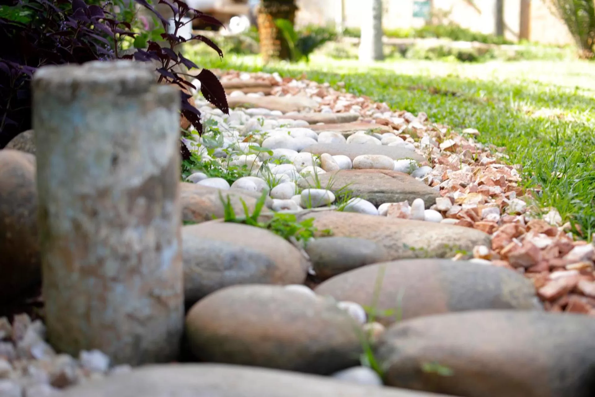 Garden, Other Animals in Entebbe Palm Hotel