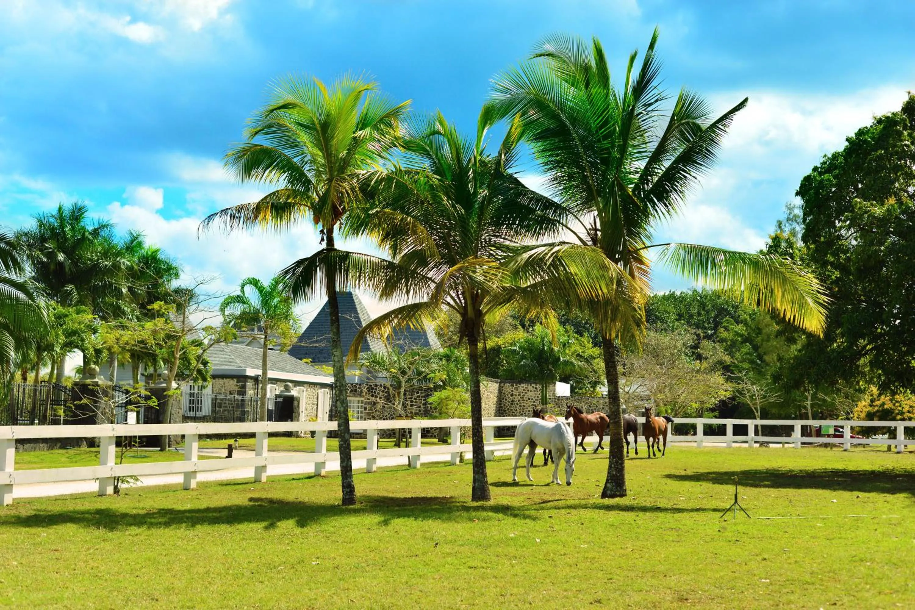 Neighbourhood in Maritim Resort & Spa Mauritius