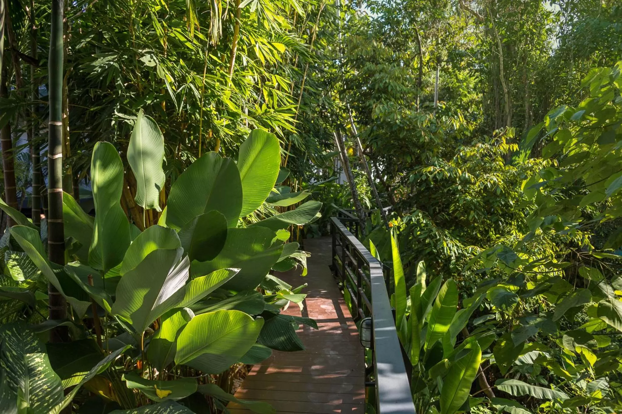 Garden in Loy Chalet