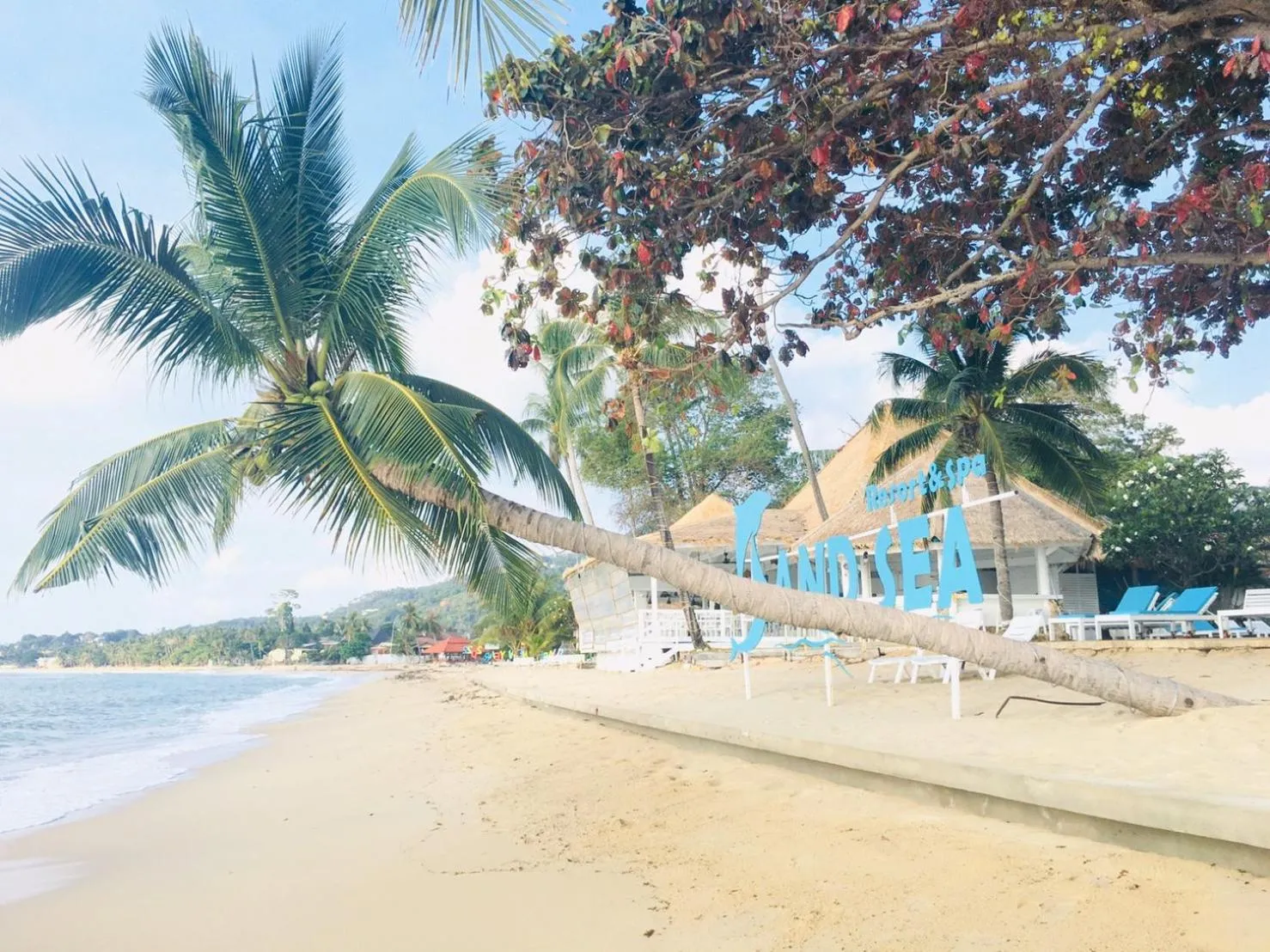 Property building in Sand Sea Beach Resort