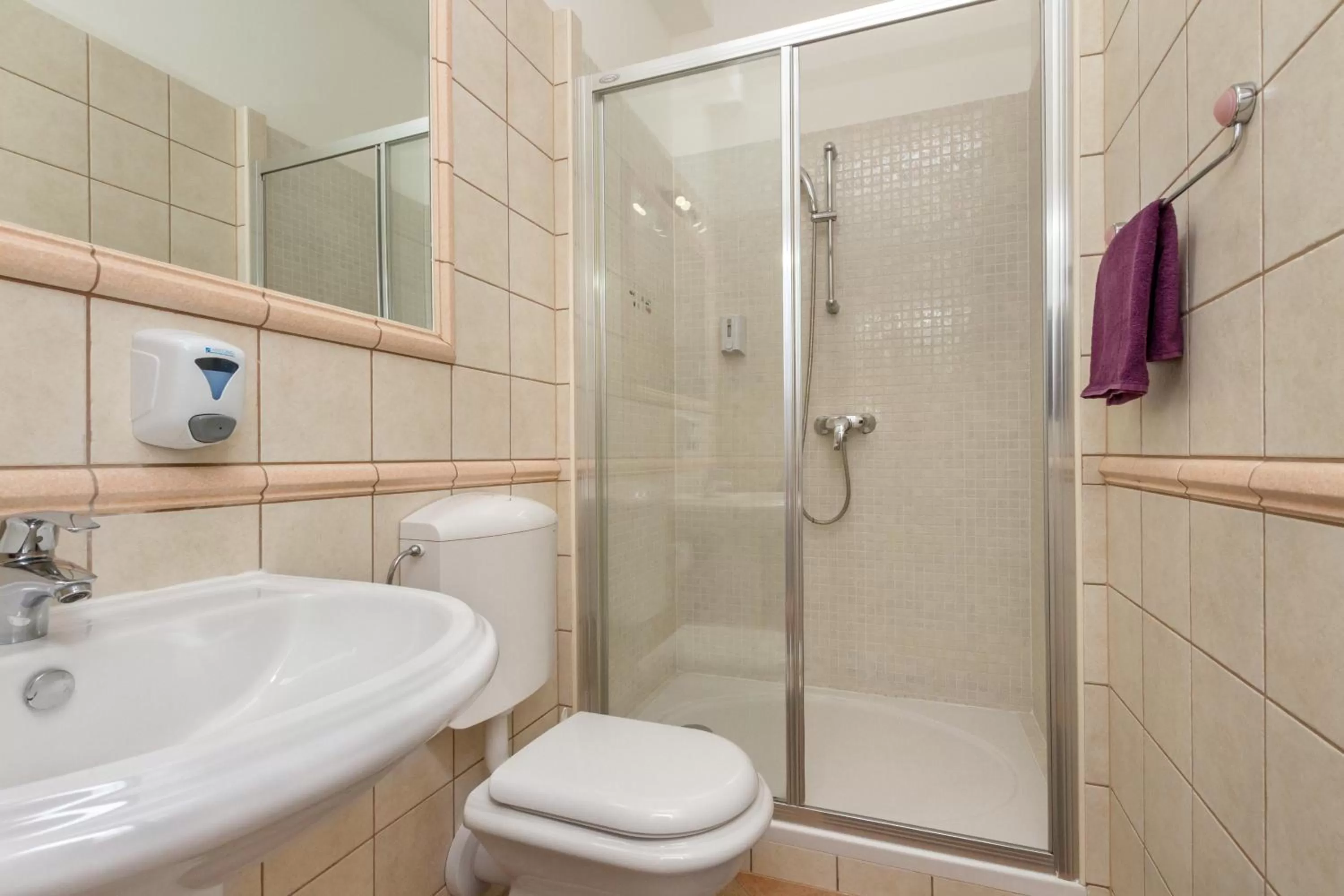 Bathroom in Apartments Aspalathos