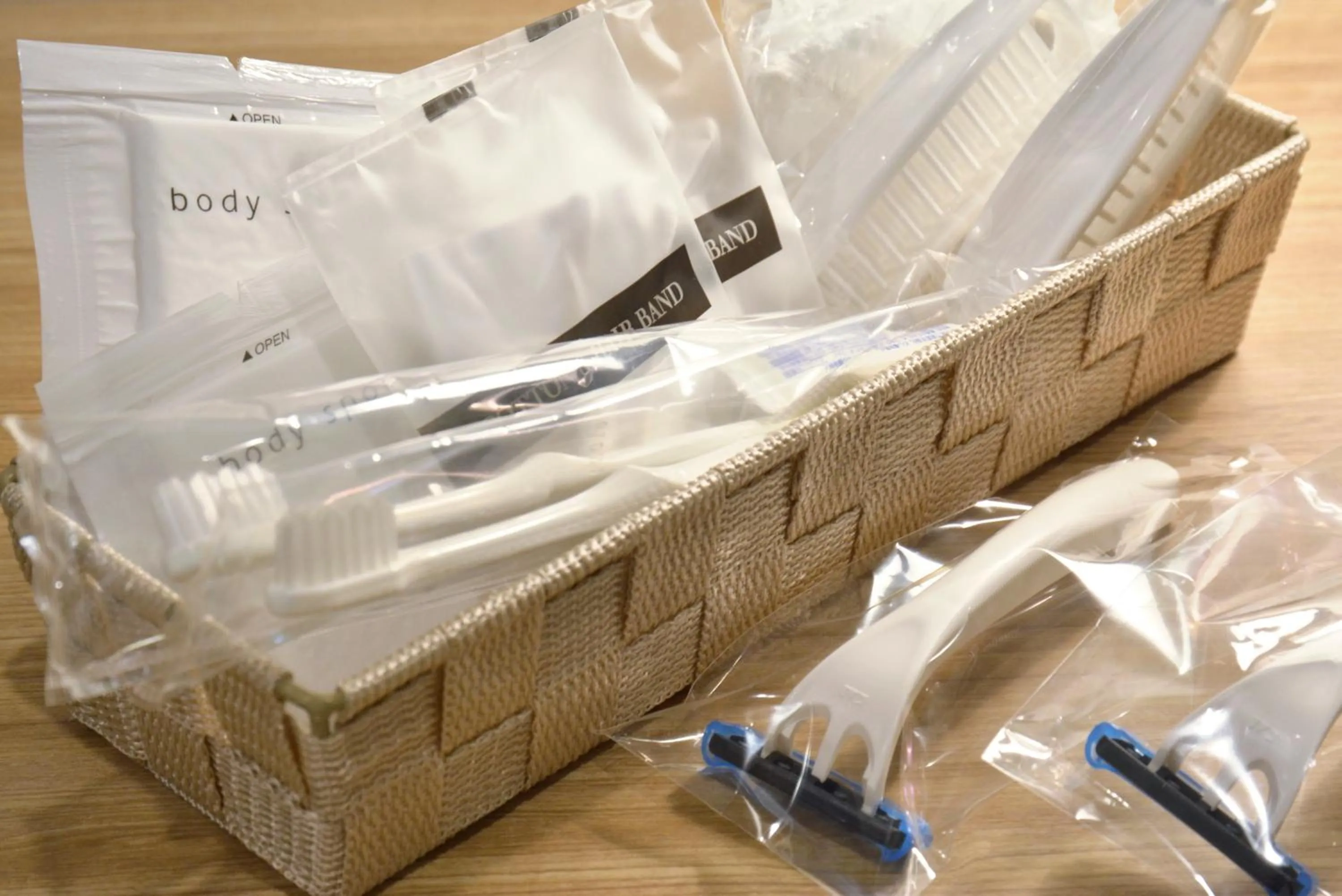 Photo of the whole room in Rembrandt Style Tokyo Nishikasai Grande