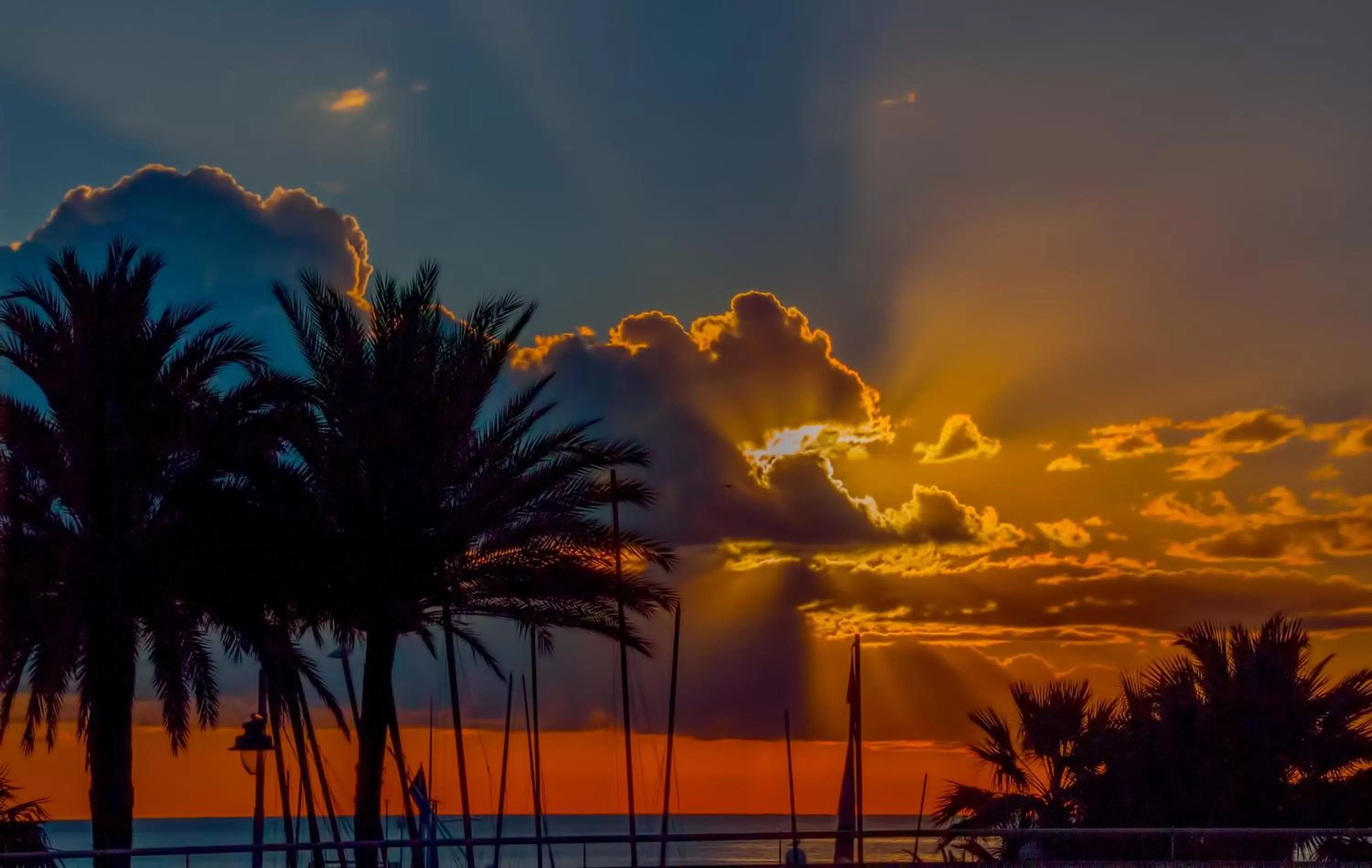 View (from property/room) in Hotel Palm Garavan