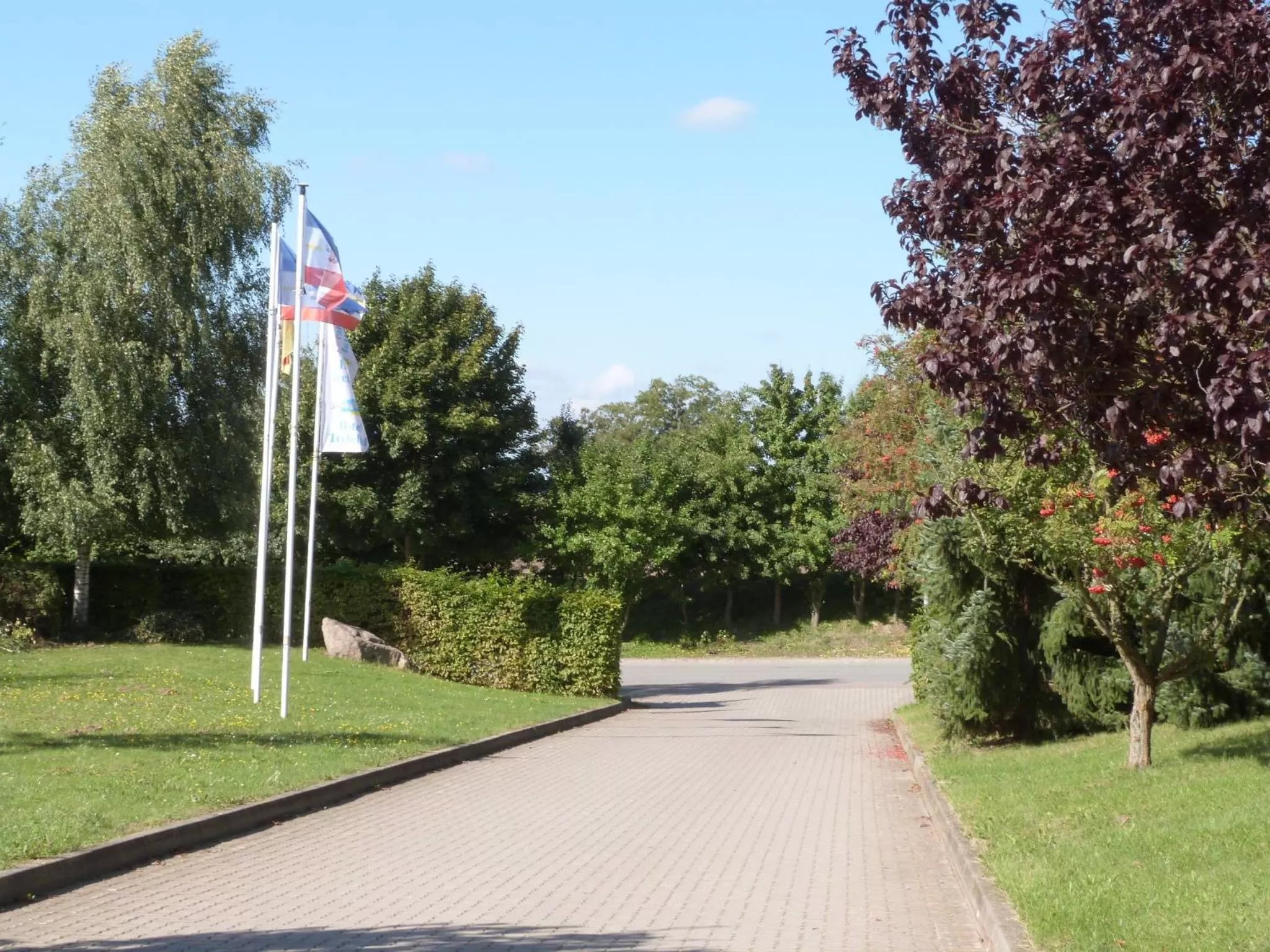 Area and facilities in Hotel Trebeltal