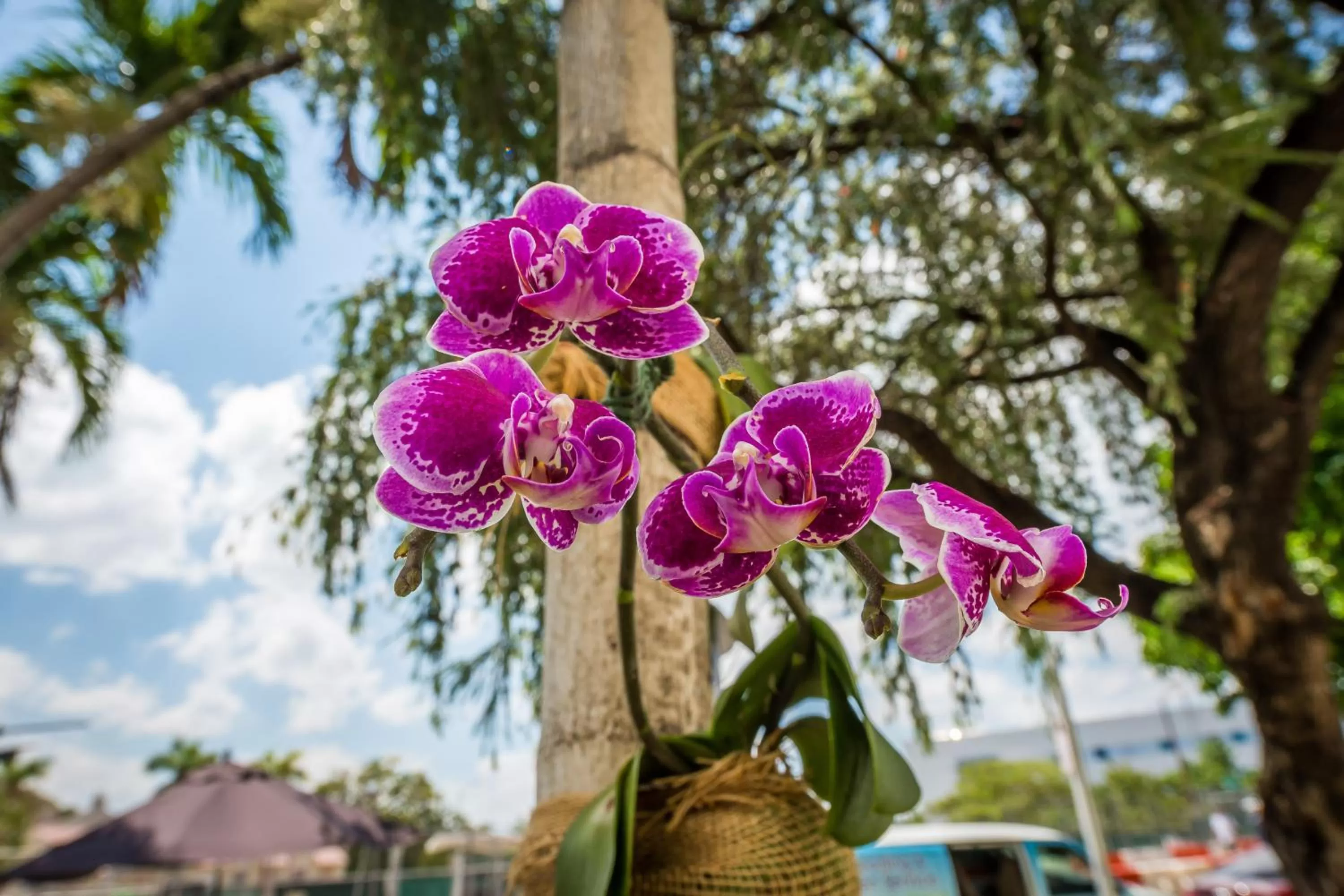 Patio in Hotel Belleza