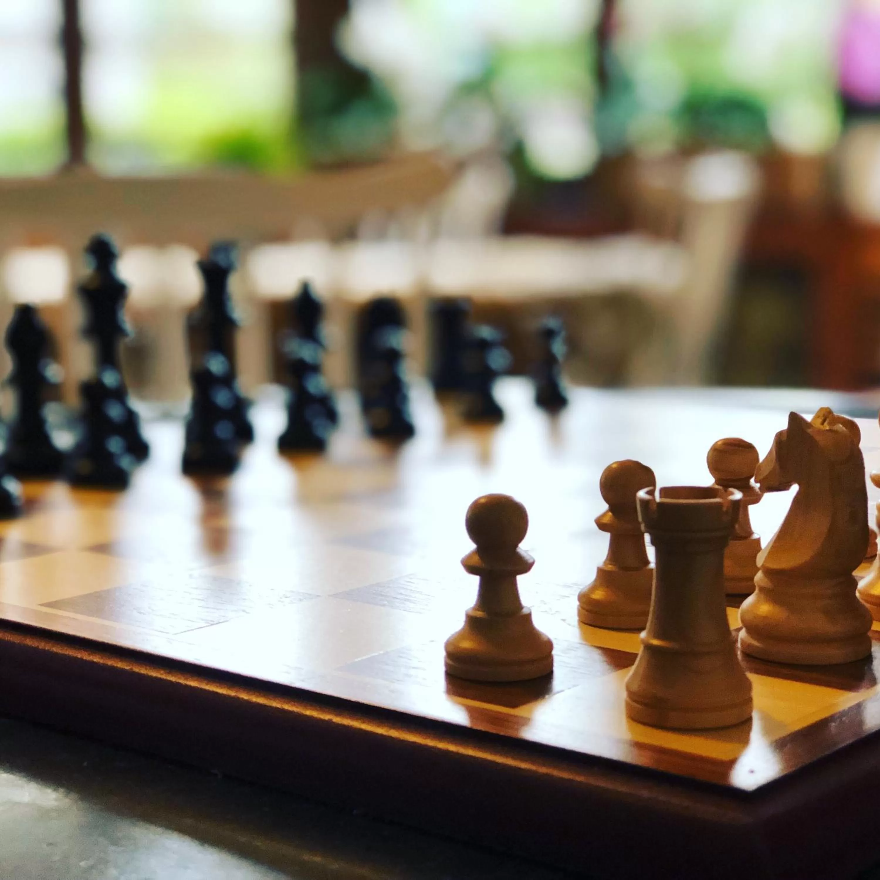 Activities in La Villa d'Hélène 2 - Chambres d'hôtes BnB et Appartements - Cluses