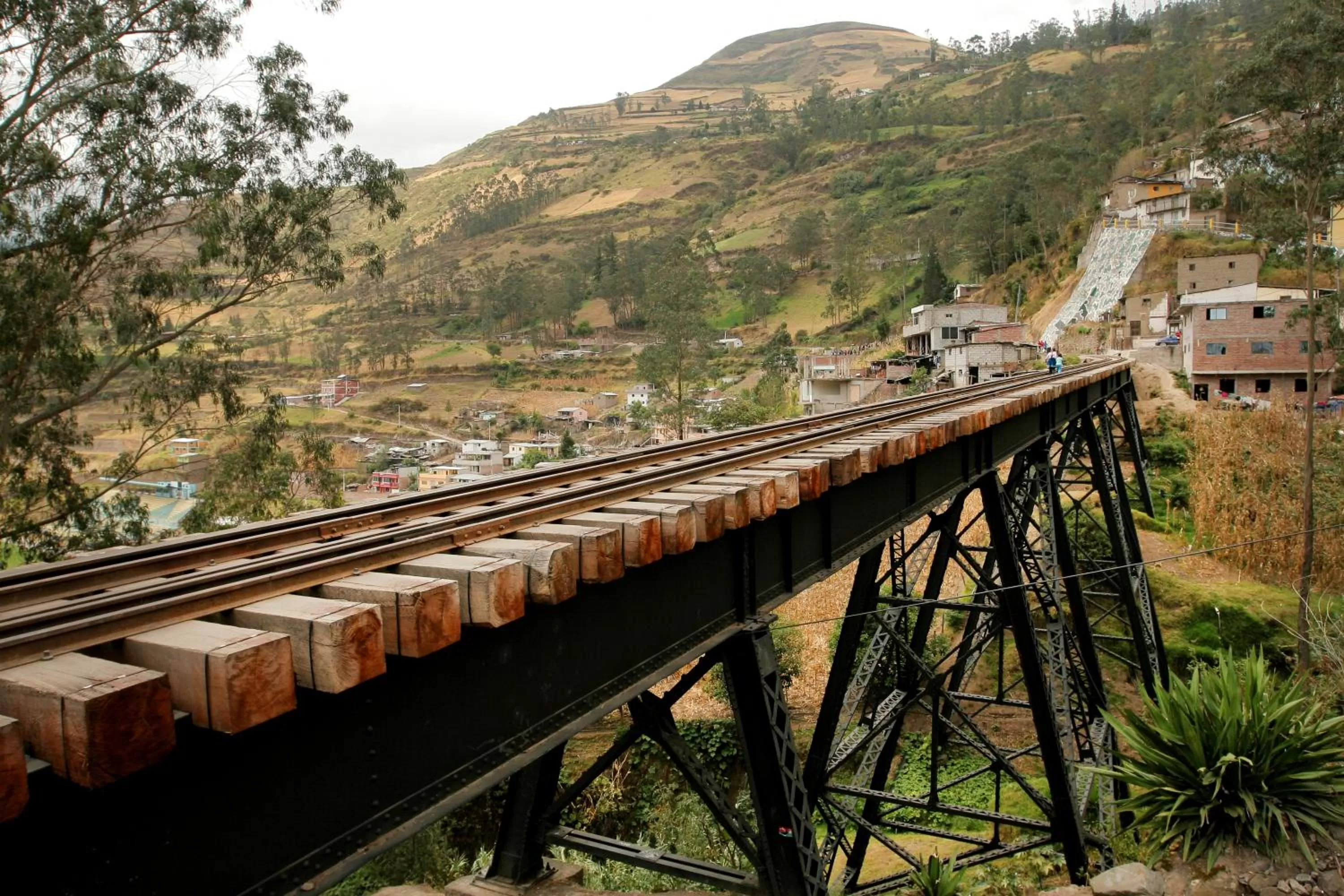 Area and facilities in Hotel Europa