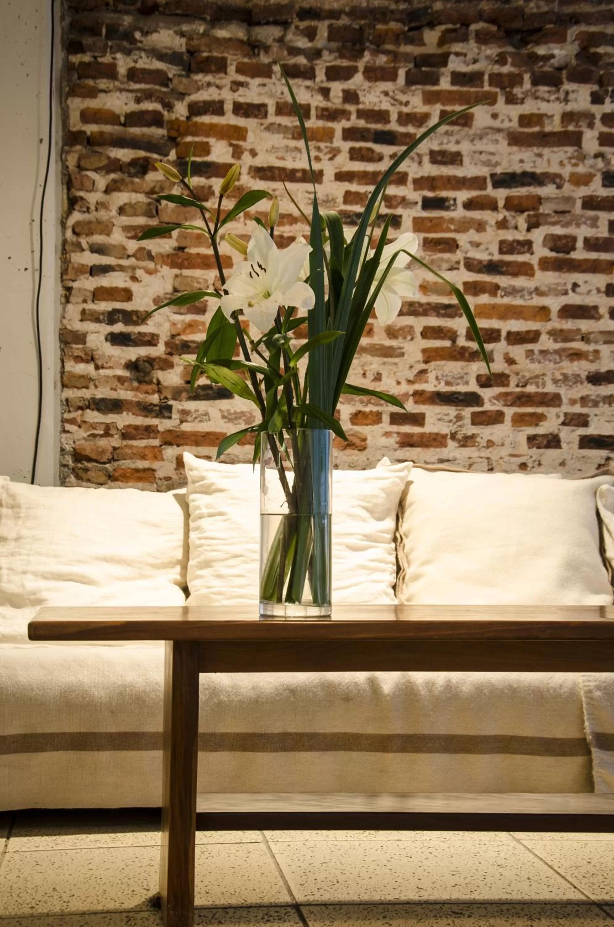 Communal lounge/ TV room in Design cE - Hotel Boutique de Diseño