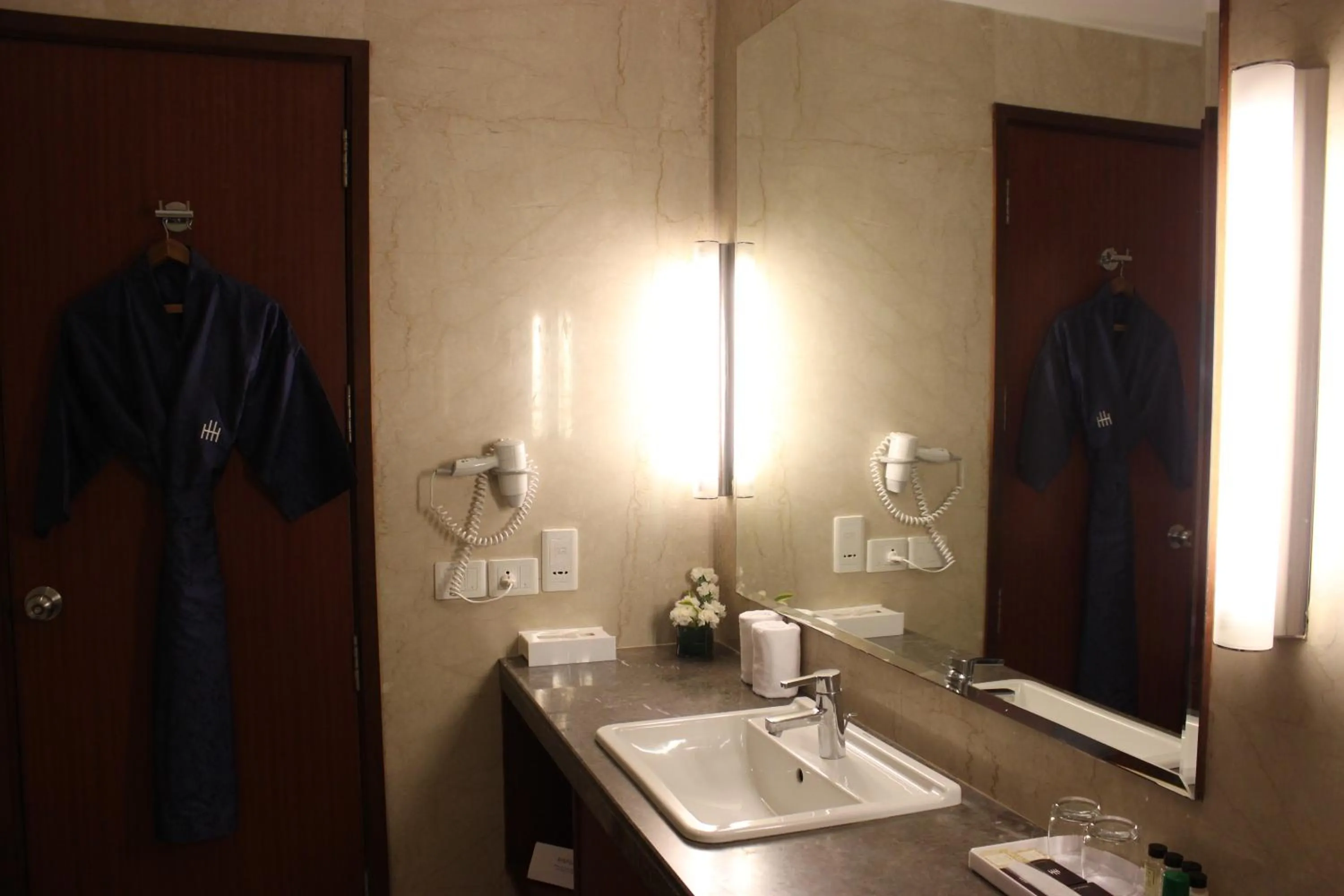 Club Room in The Hans, New Delhi