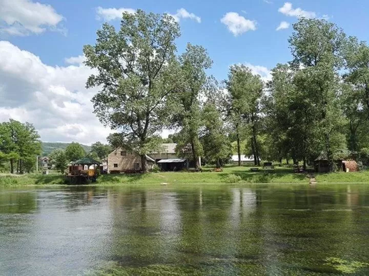 Bed and Breakfast Family Djukic