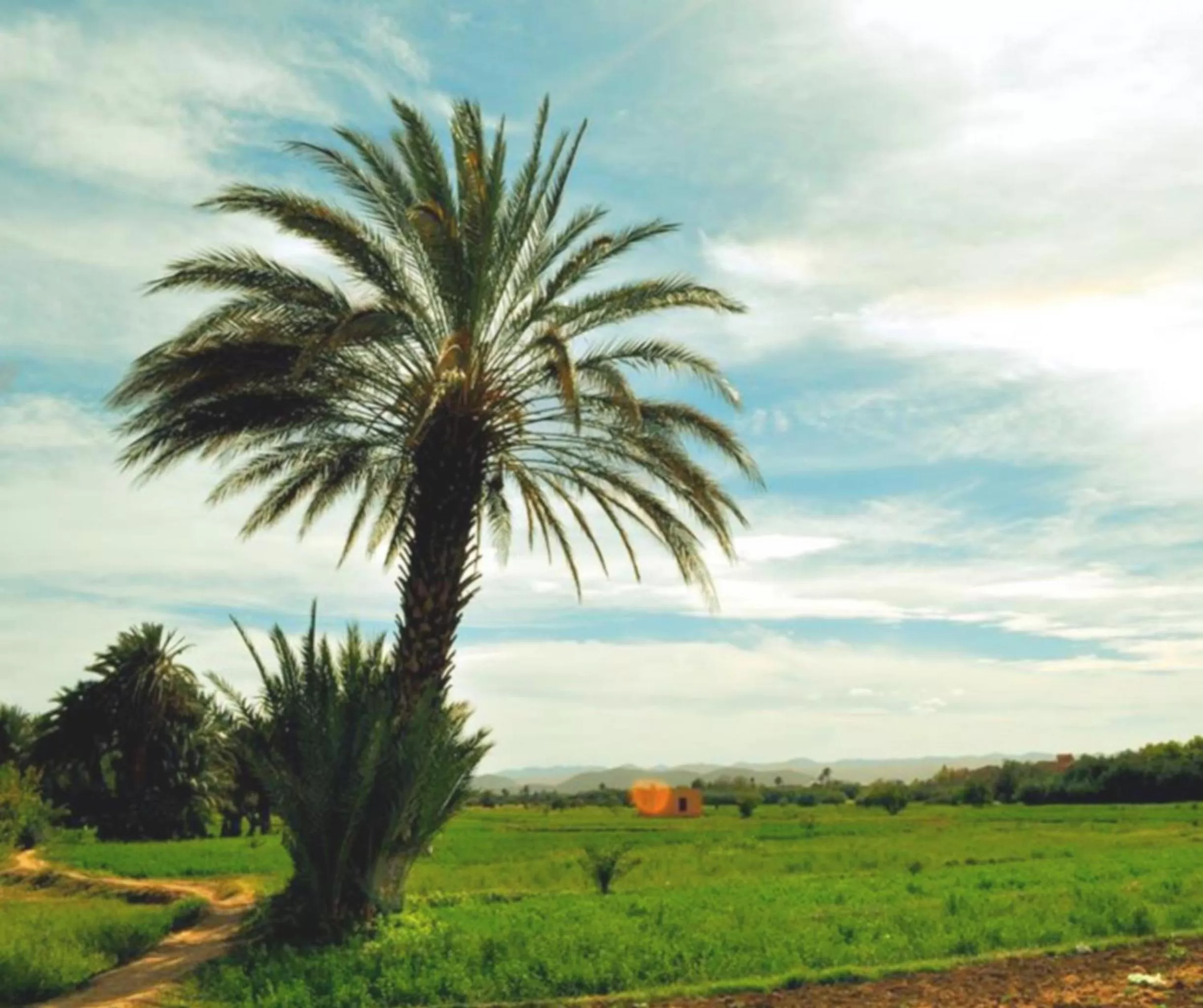Garden in Hotel Restaurant La Kasbah