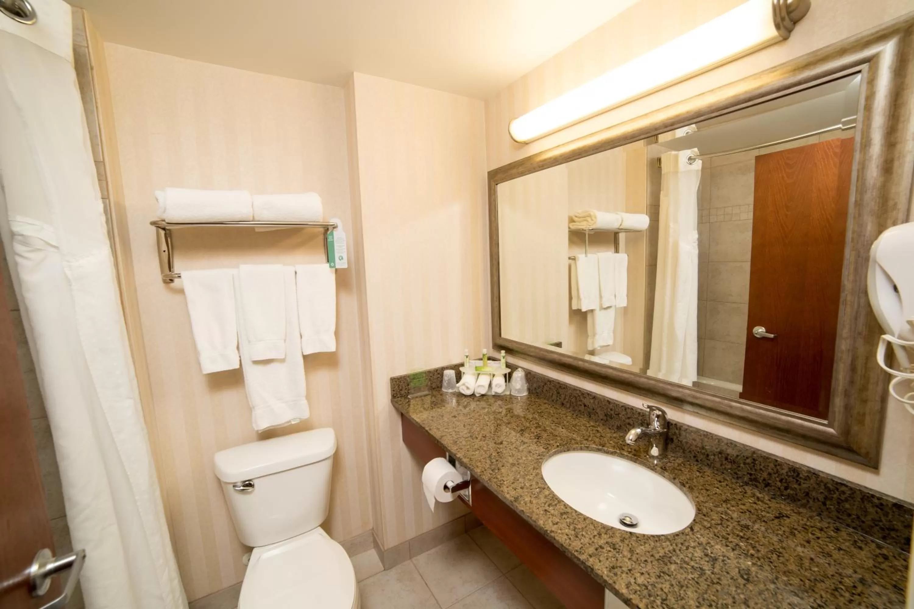 Bathroom in Holiday Inn Express & Suites Drayton Valley by IHG
