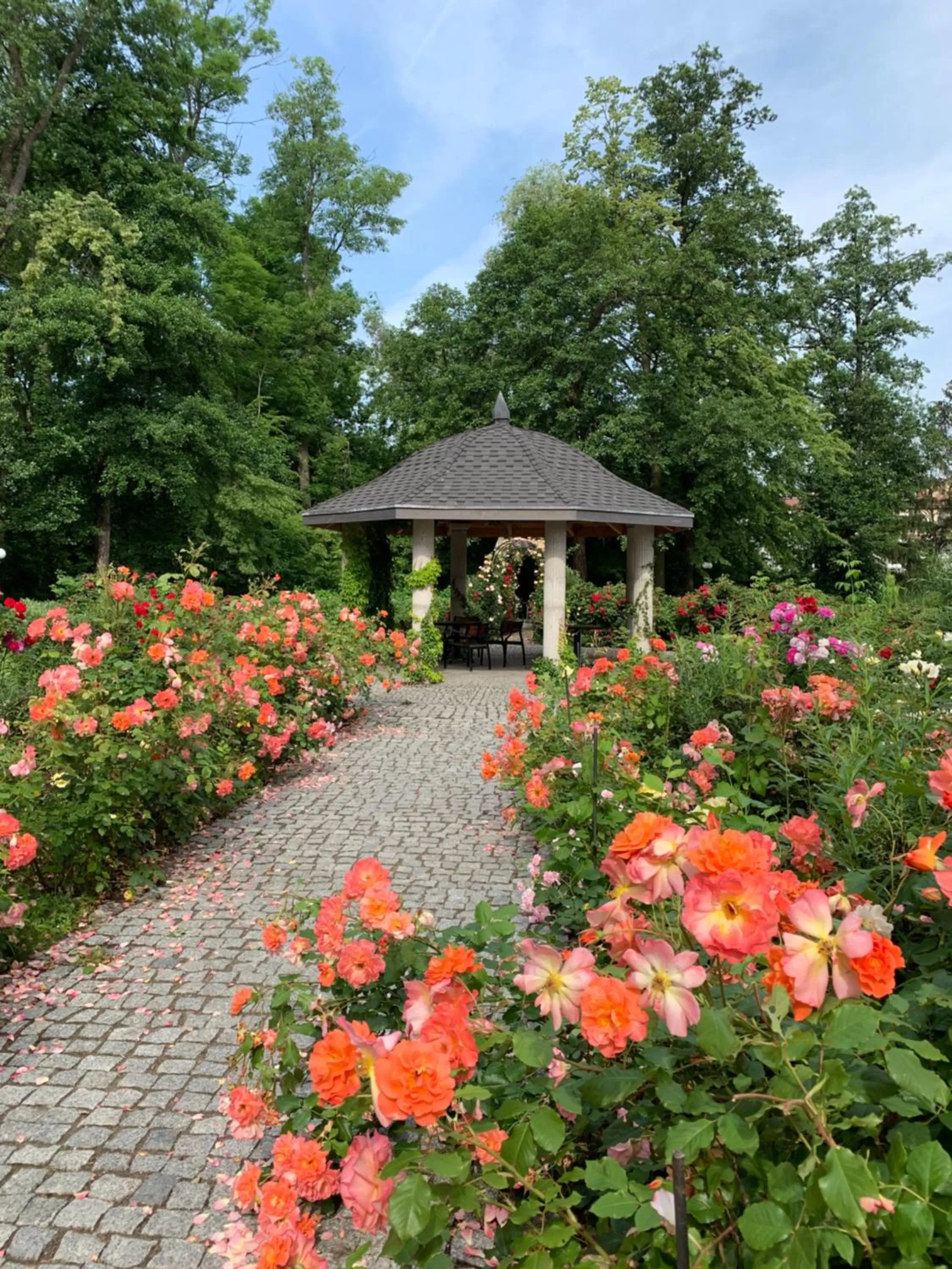 Garden in Hotel Willa Starosty