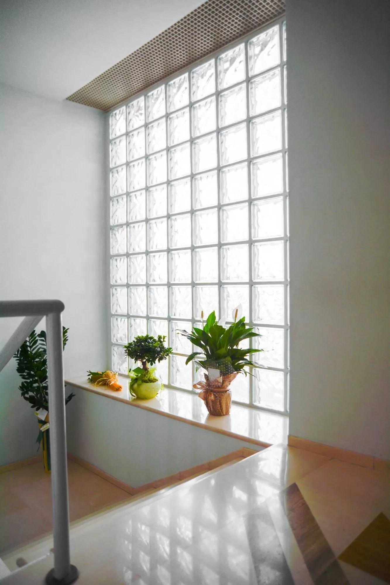 Facade/entrance in Beppe House