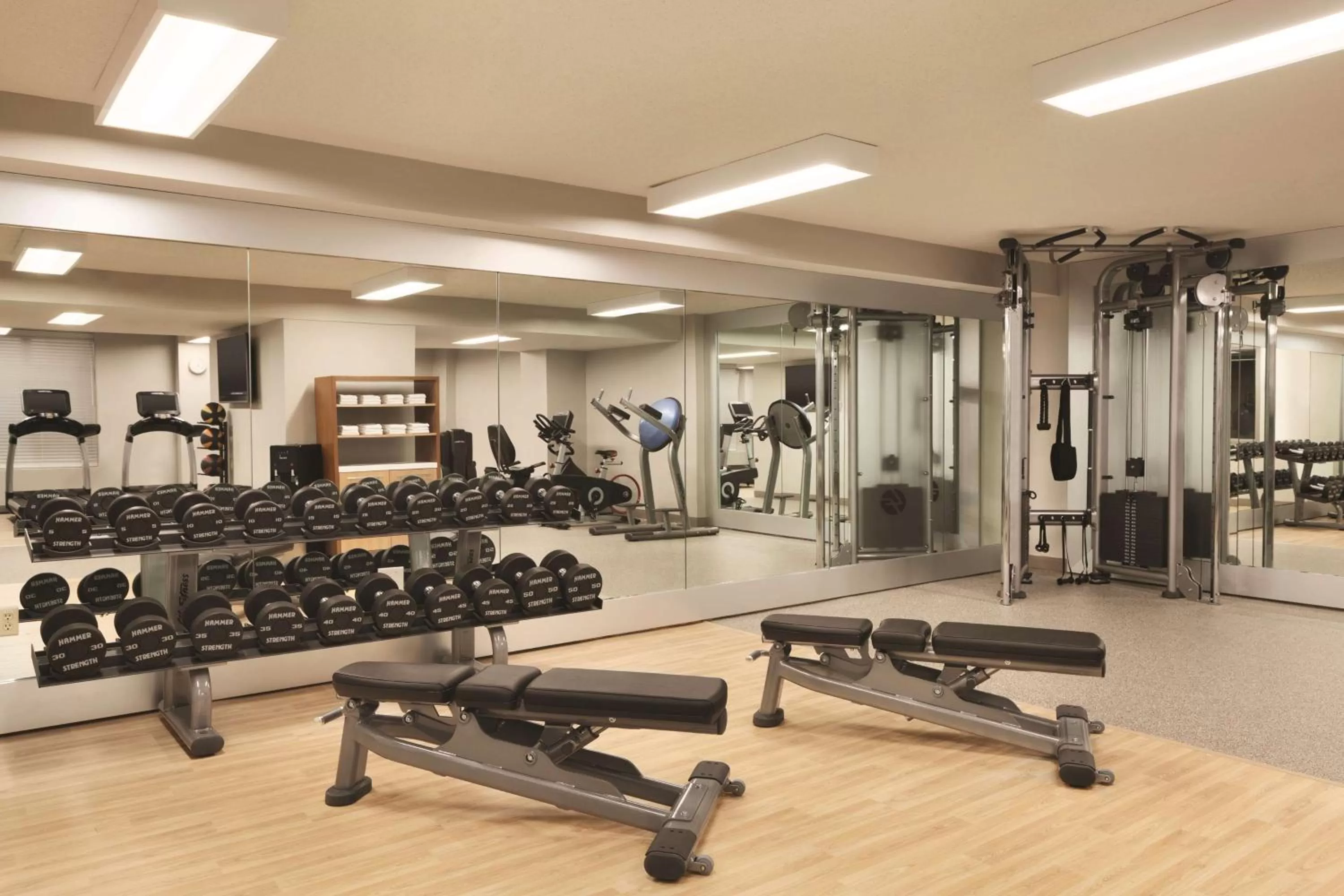 Fitness centre/facilities in Embassy Suites by Hilton Atlanta at Centennial Olympic Park