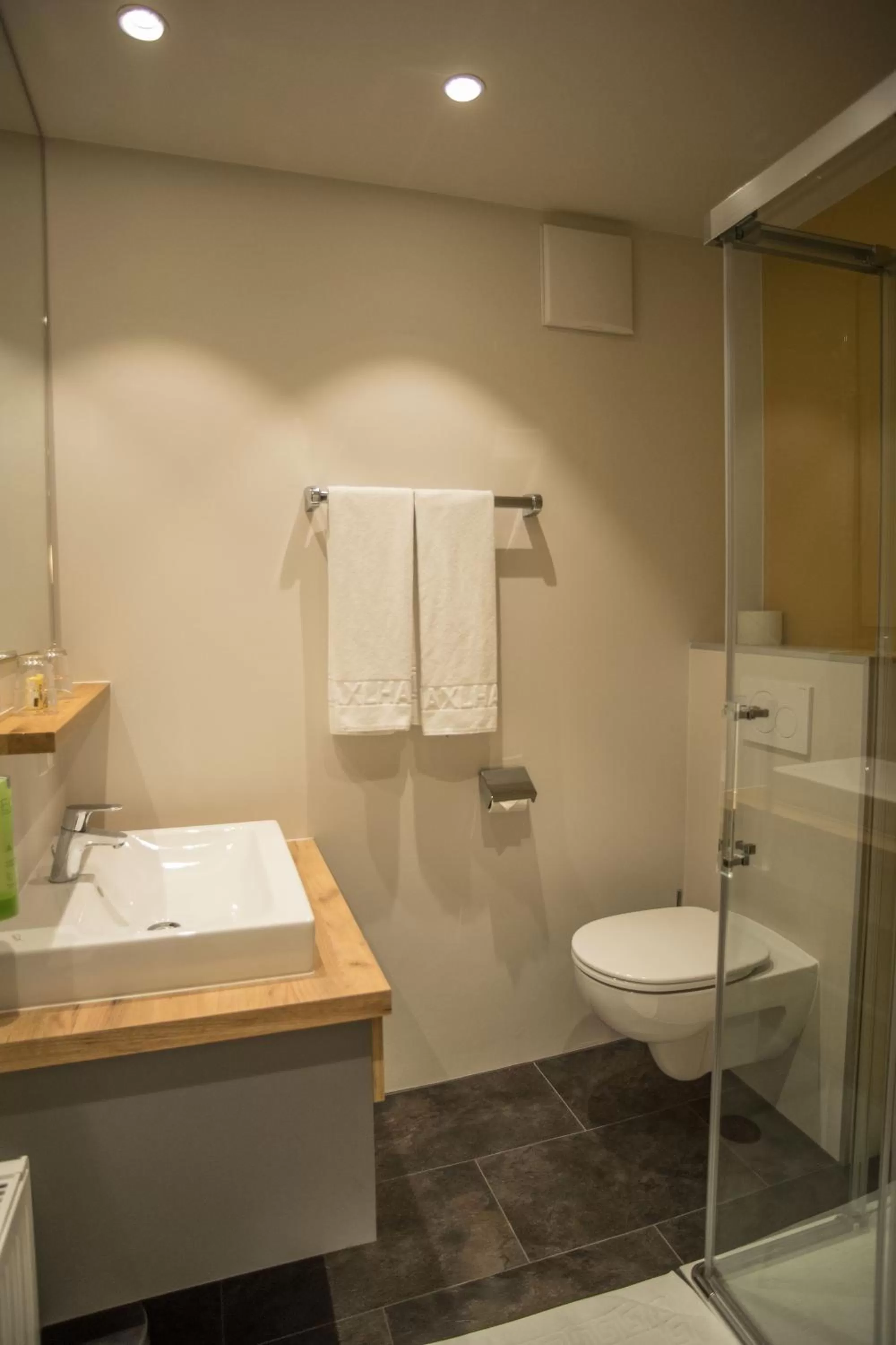 Bathroom in Gasthof Maxlhaid