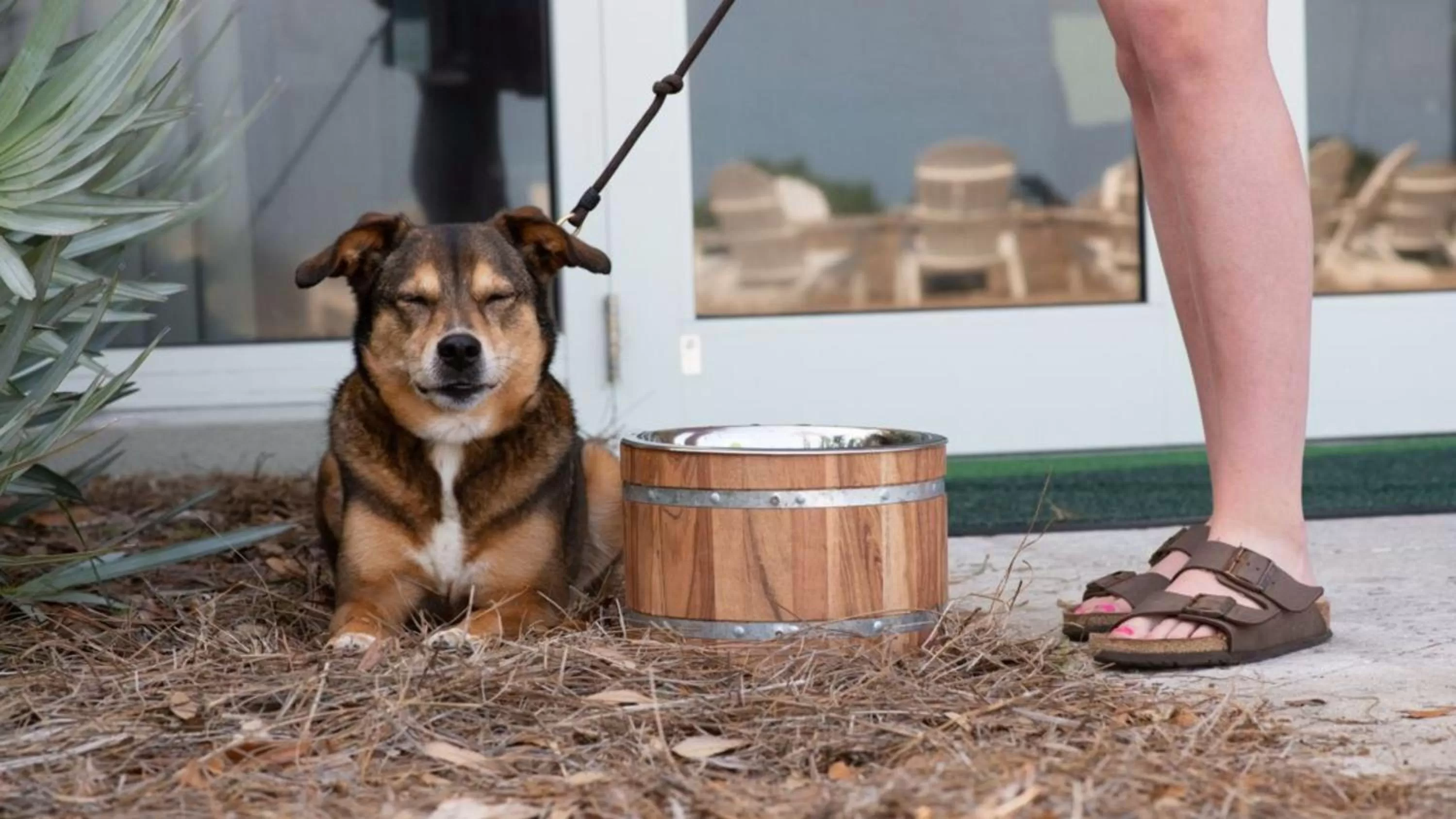 Other in Holiday Inn Resort Jekyll Island by IHG