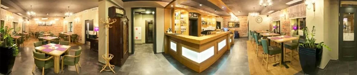 Lounge or bar in Hotel Kamienica