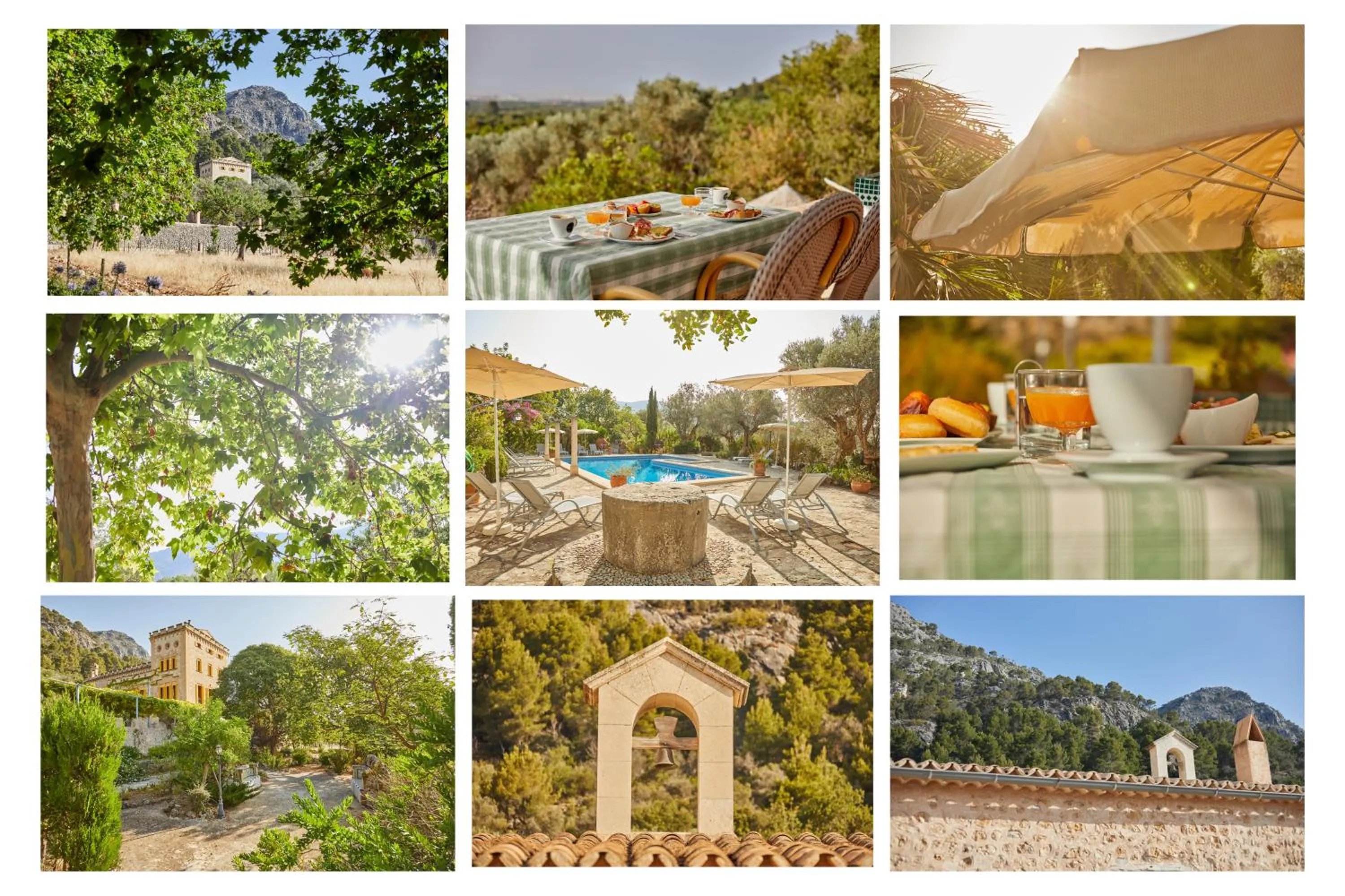 Other in Agroturismo Alquería Blanca