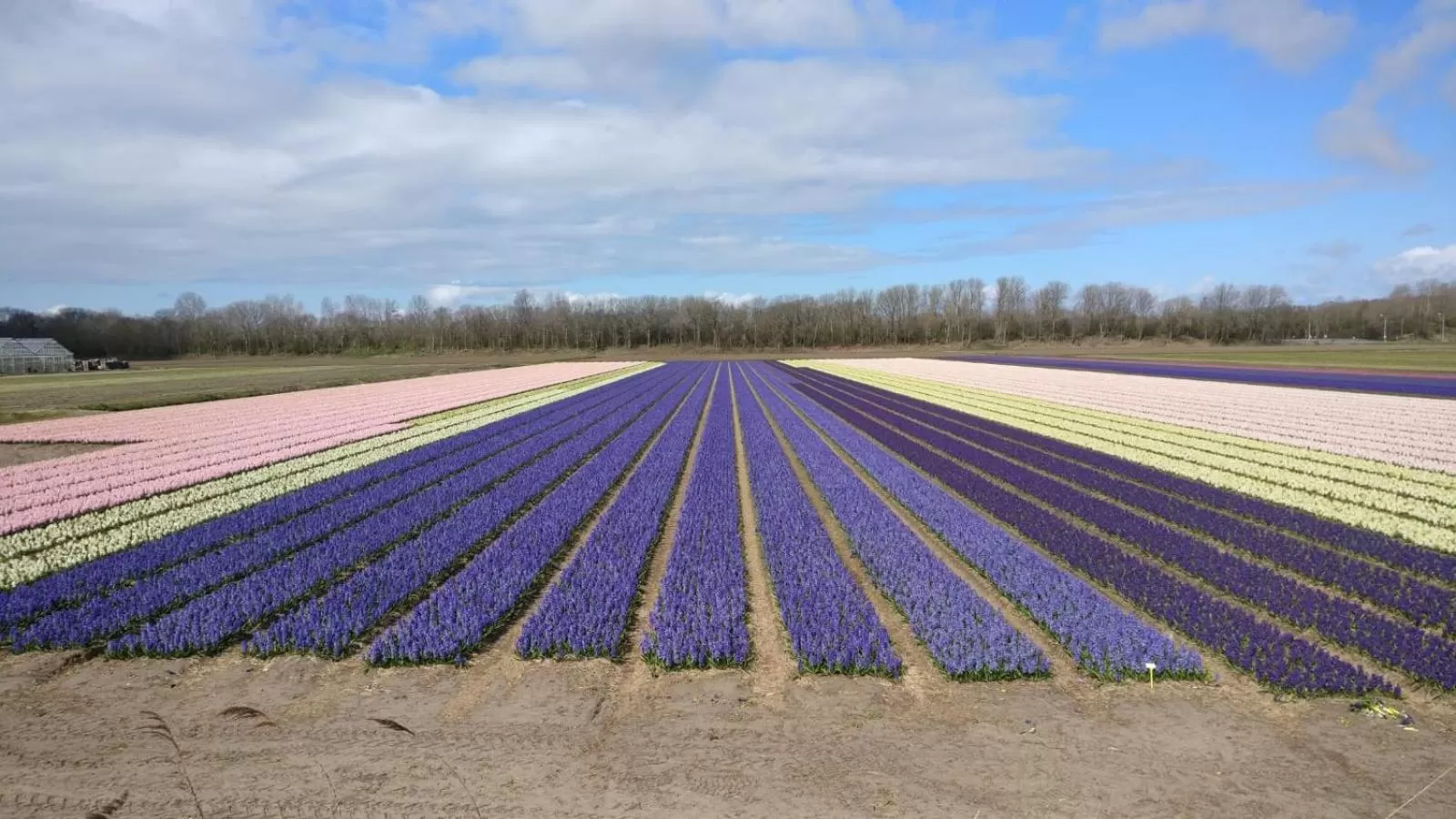 Natural landscape in Tiny House Boatshed