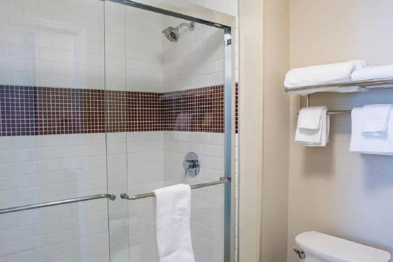 Shower in Staybridge Suites Denver Downtown by IHG