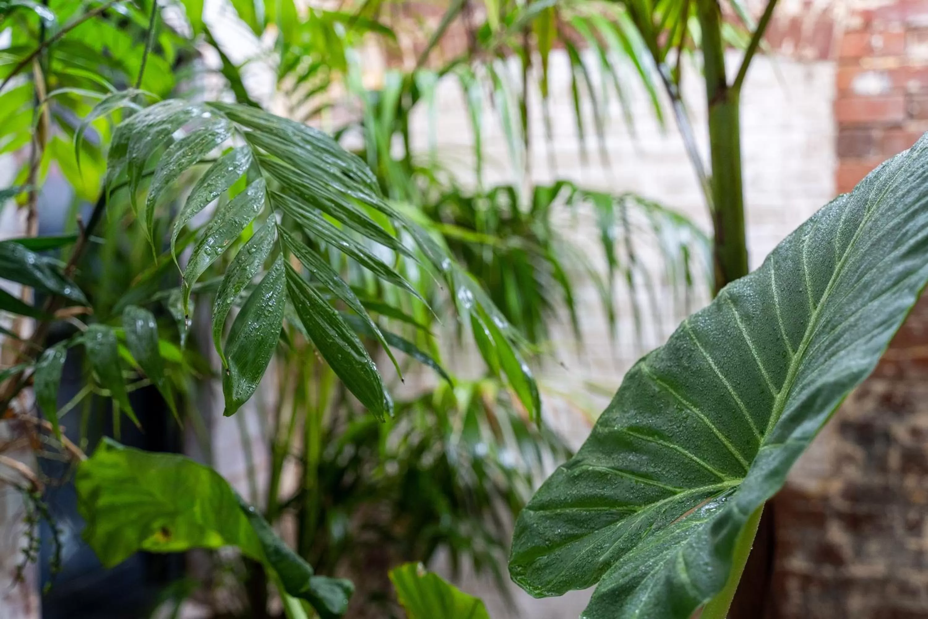 Grand Hotel and Studios