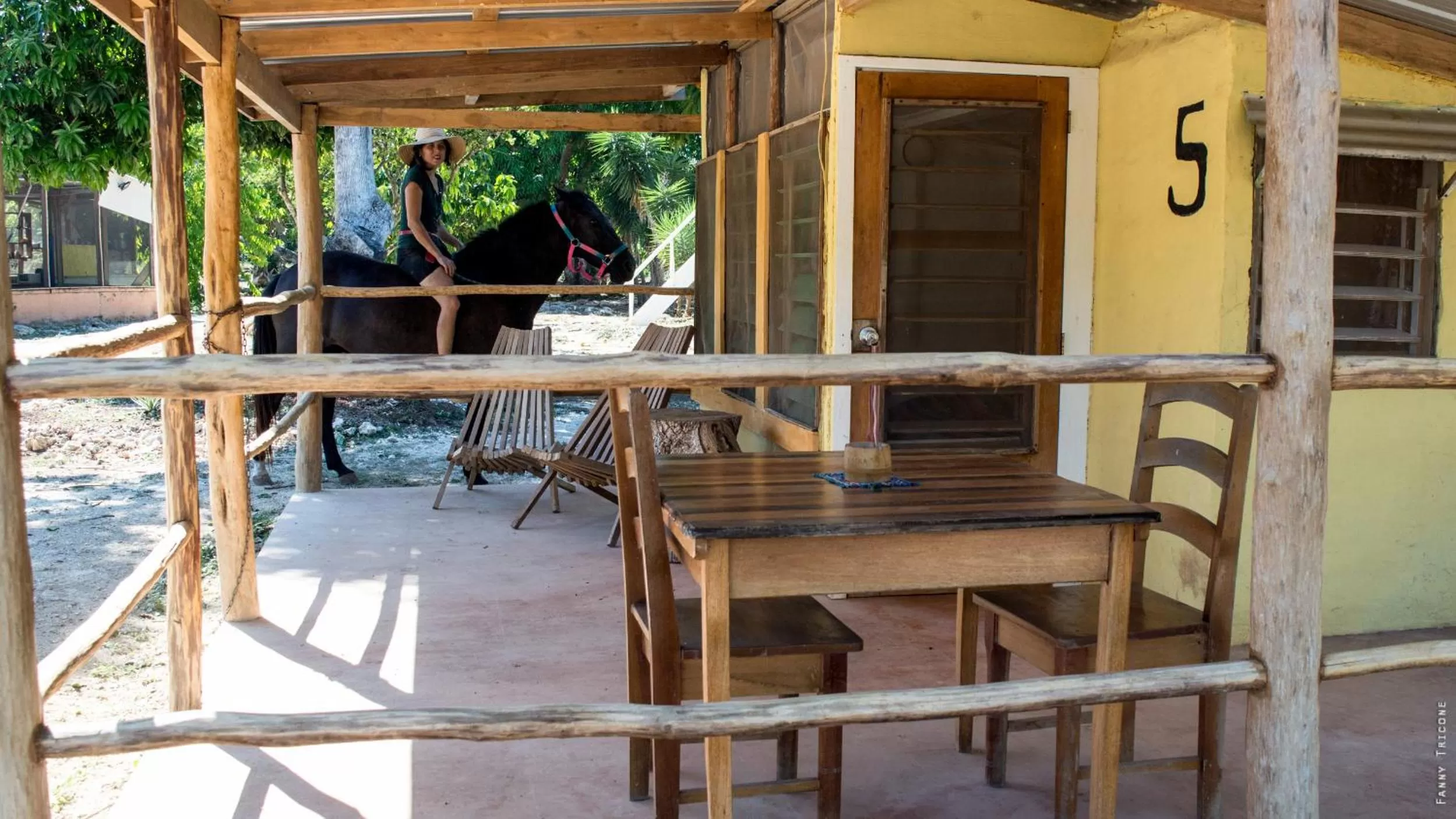 Patio in Horse Cottage