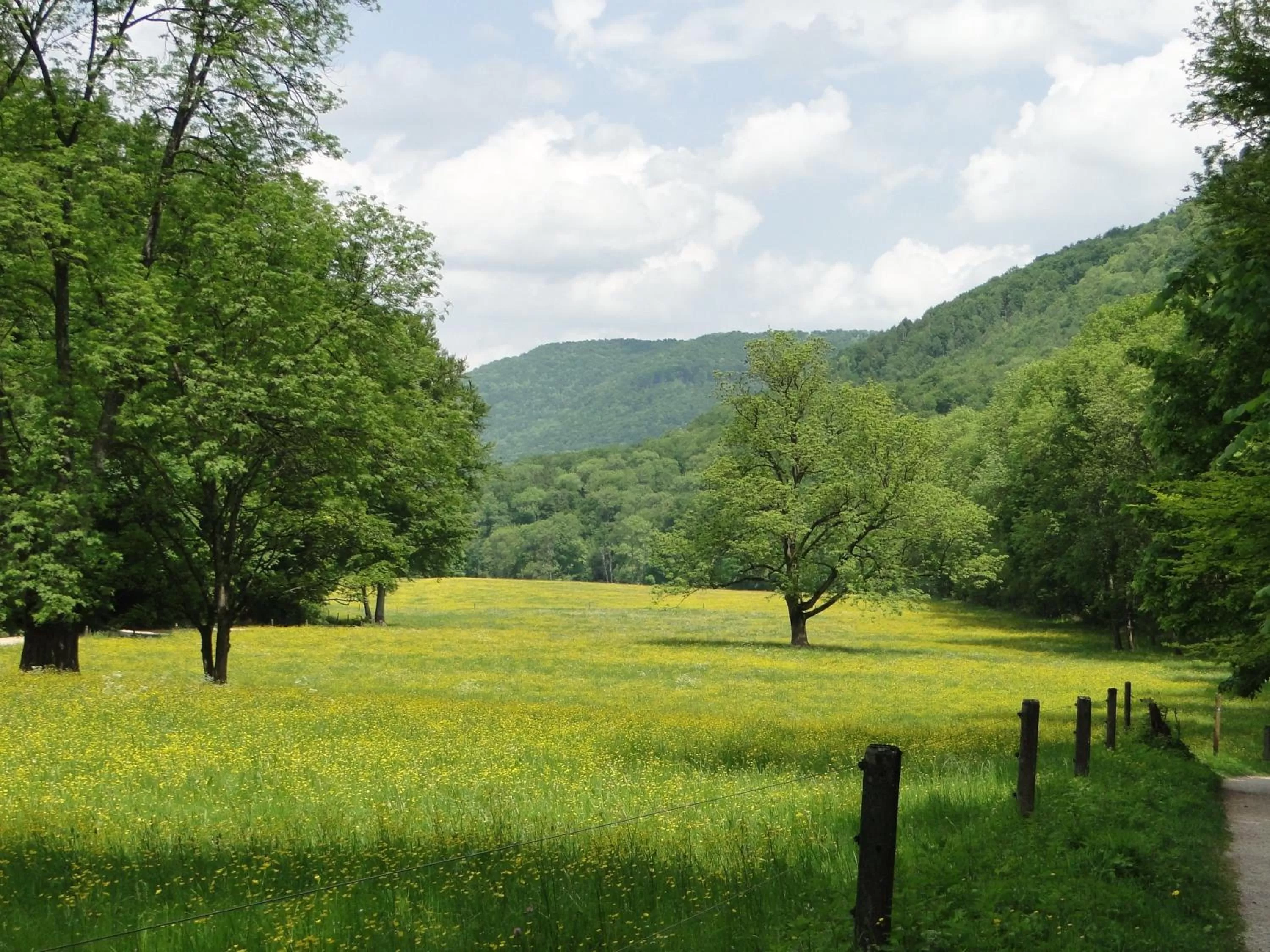 Spring in Hotel Graf Eberhard