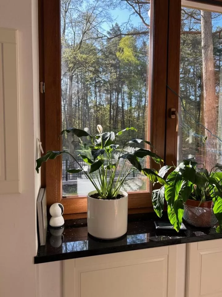 Leśna Residence & SPA