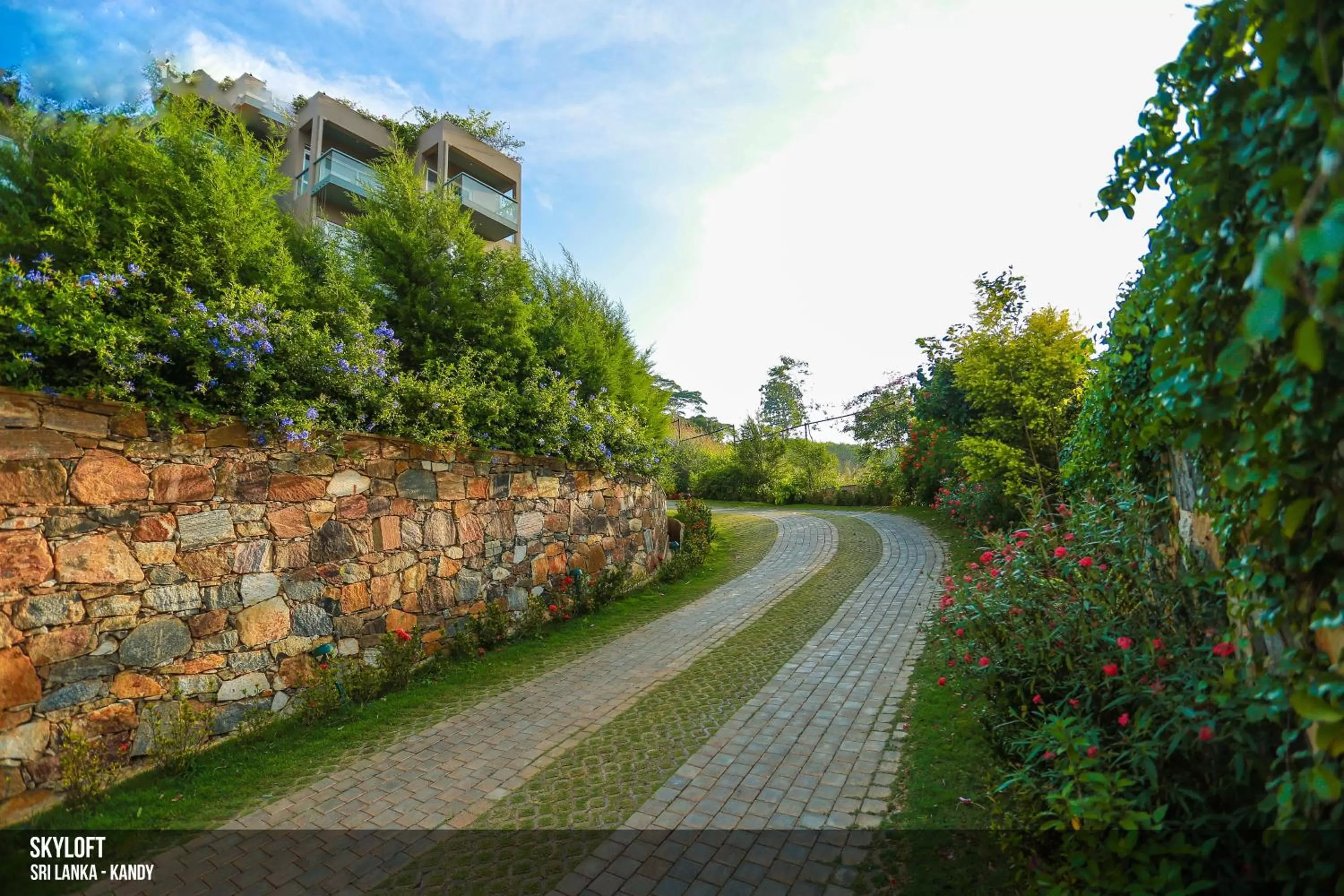 Natural landscape in Skyloft Kandy by Aaradhya